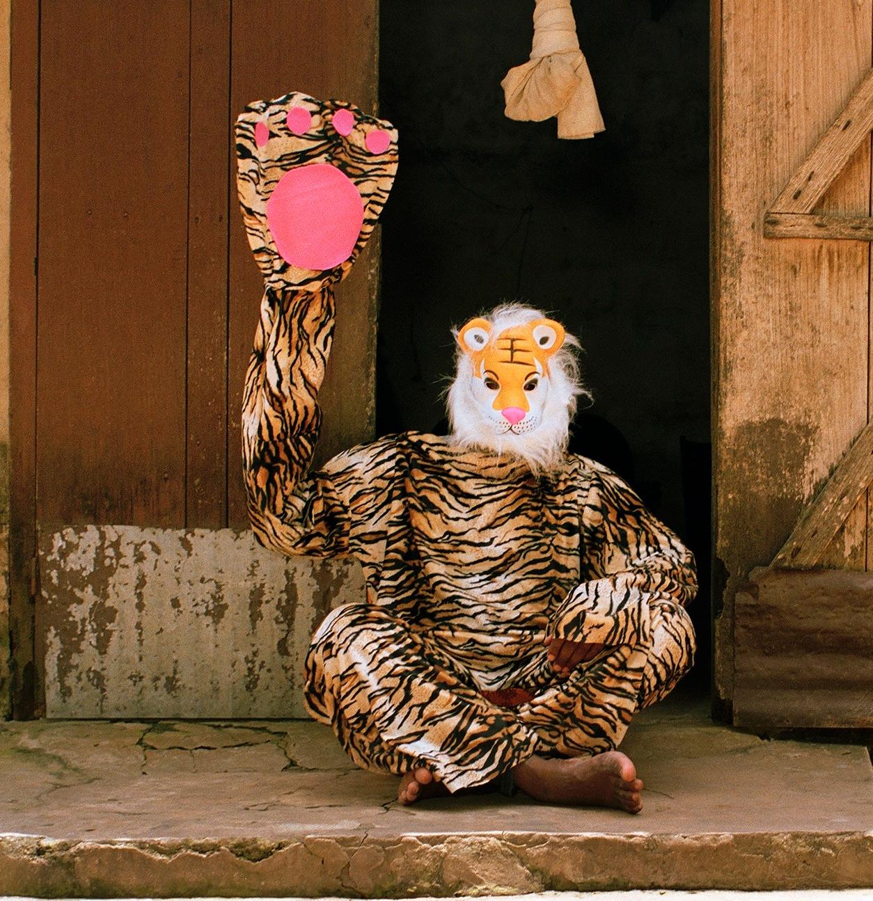 Lucky Tiger - 21st Century Landscape Portrait Animal Photography Edition - Brown Landscape Photograph by Verena Prenner