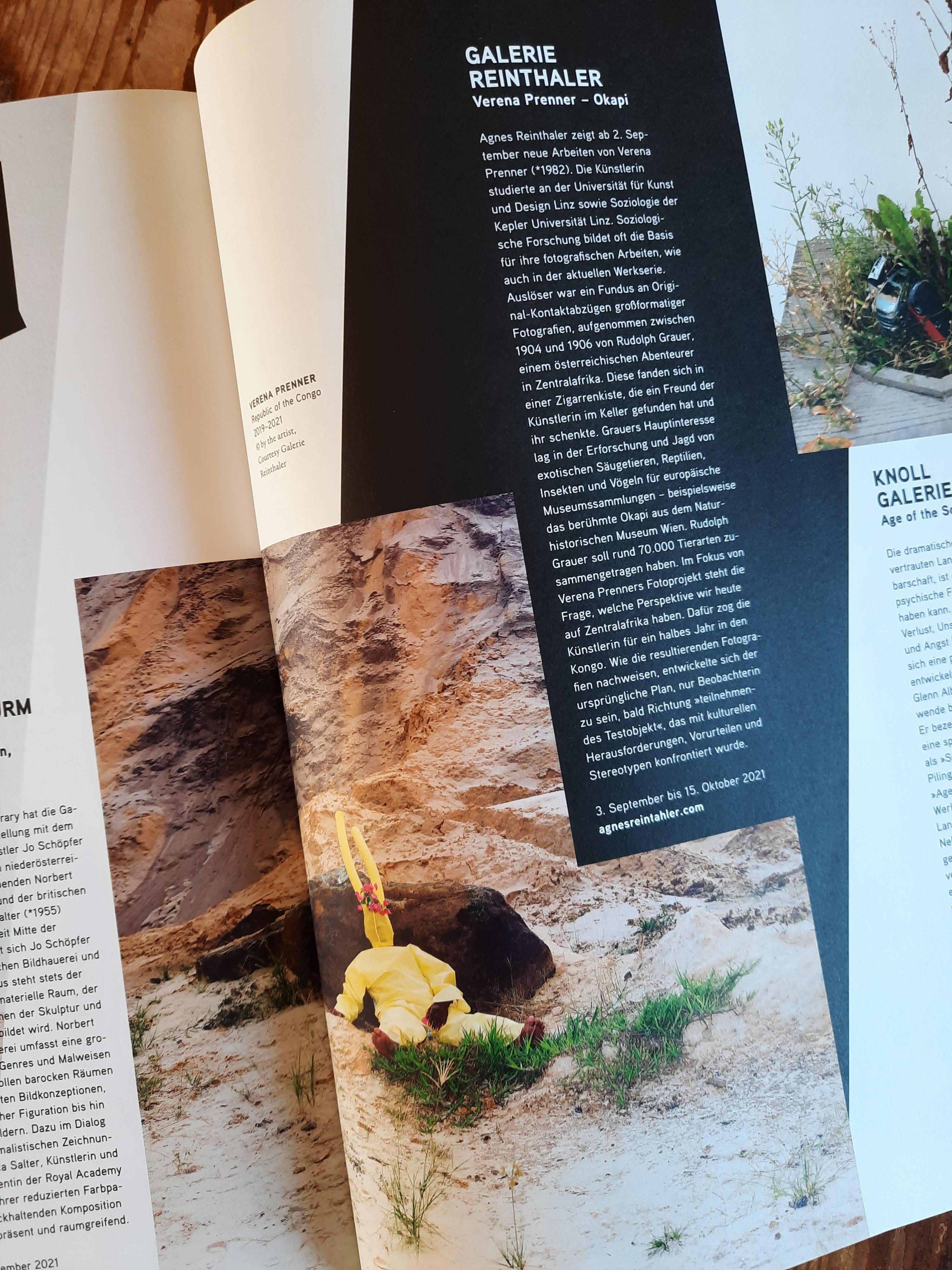 Gelbes Kaninchen Edition 2/5 - Contemporary Landscape Animal Photography im Angebot 2