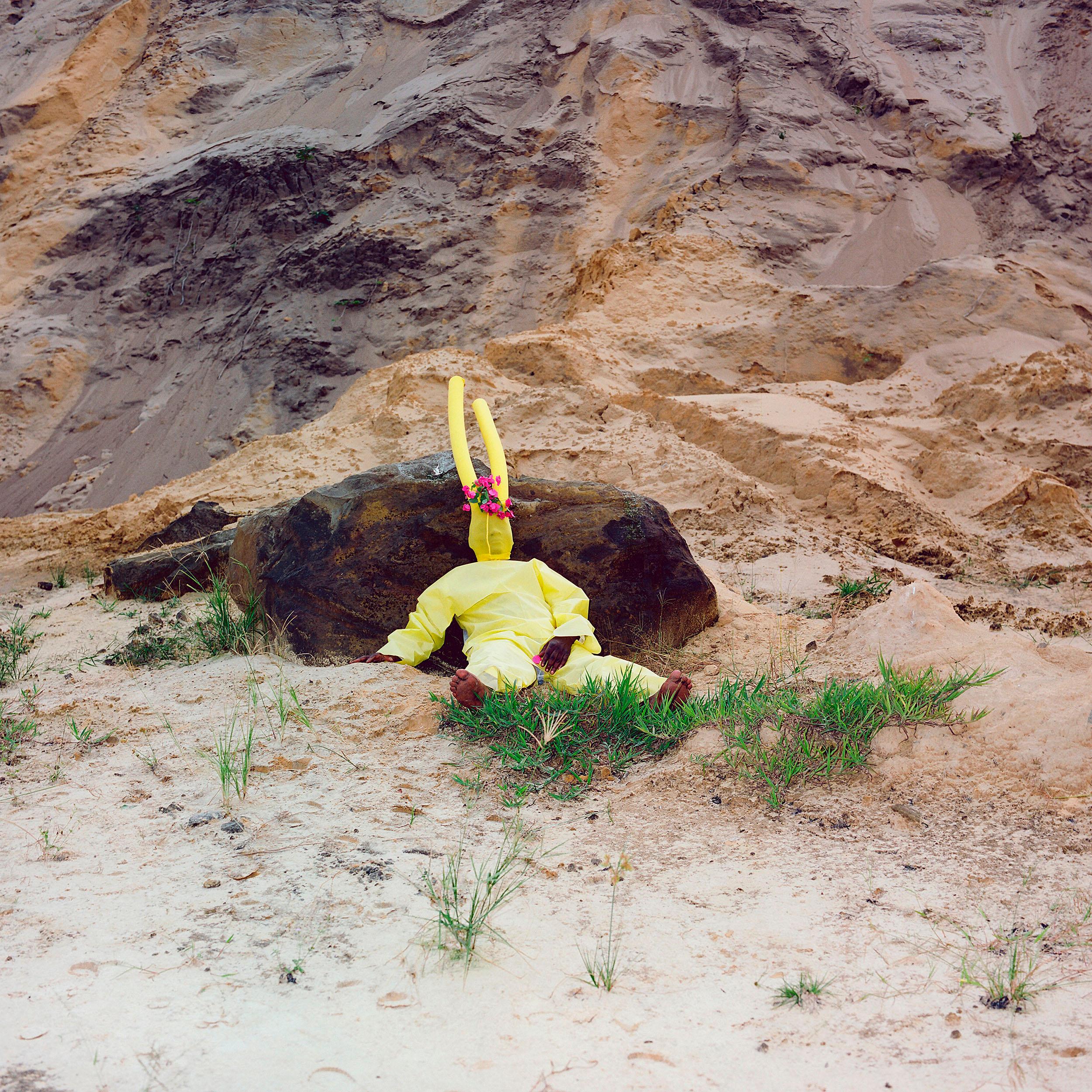 Yellow Rabbit Edition 4/5 - Contemporary Landscape Animal Photography