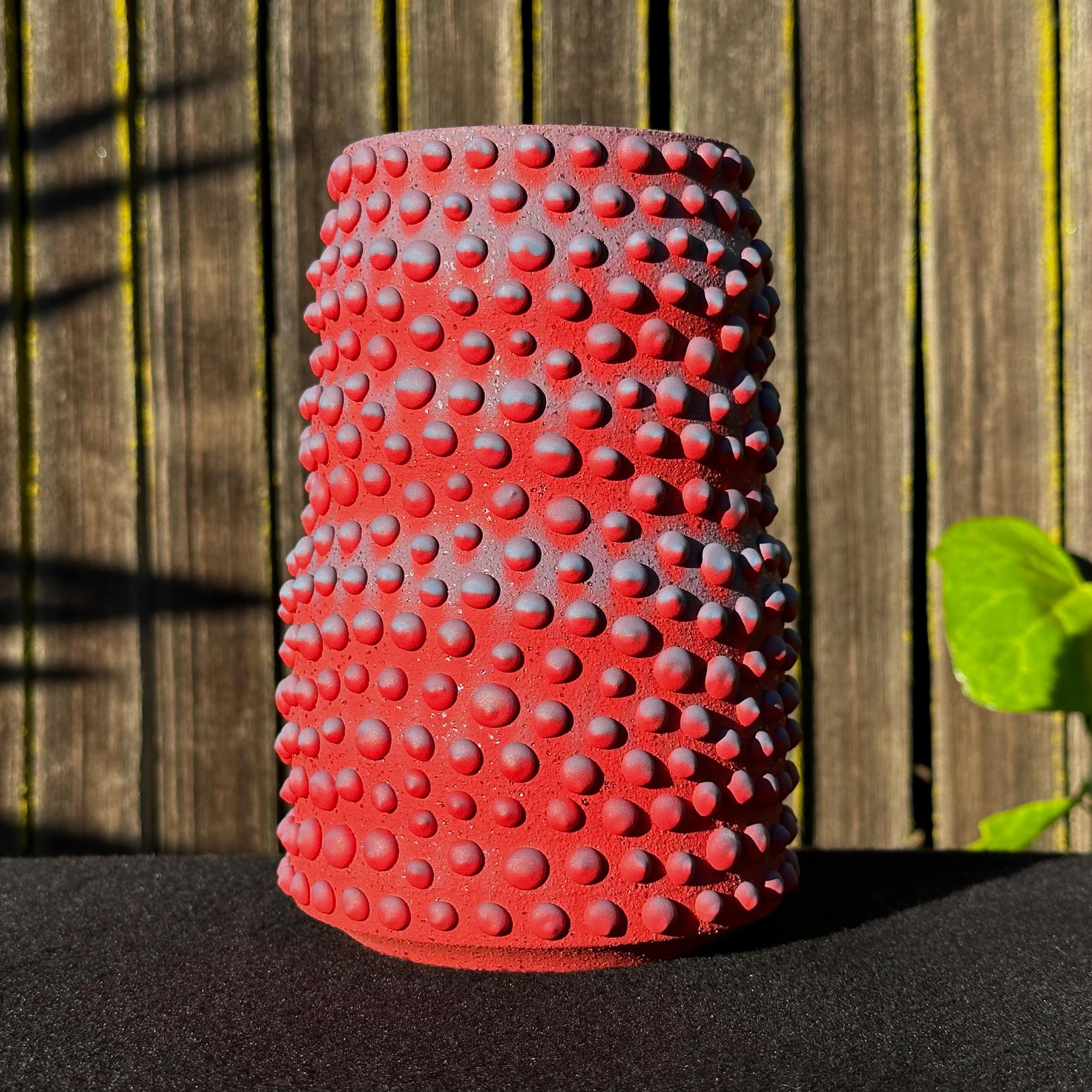 Diese vom Künstler Justin Kiene aus Oakland entworfenen und hergestellten organischen Pflanzgefäße und Vasen sind von den Formen der natürlichen und mikroskopischen Welt inspiriert.

Jedes Stück wird von Hand gedreht und glasiert, was es in Ton,