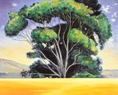 San Gregorio Sun Up - Landscape