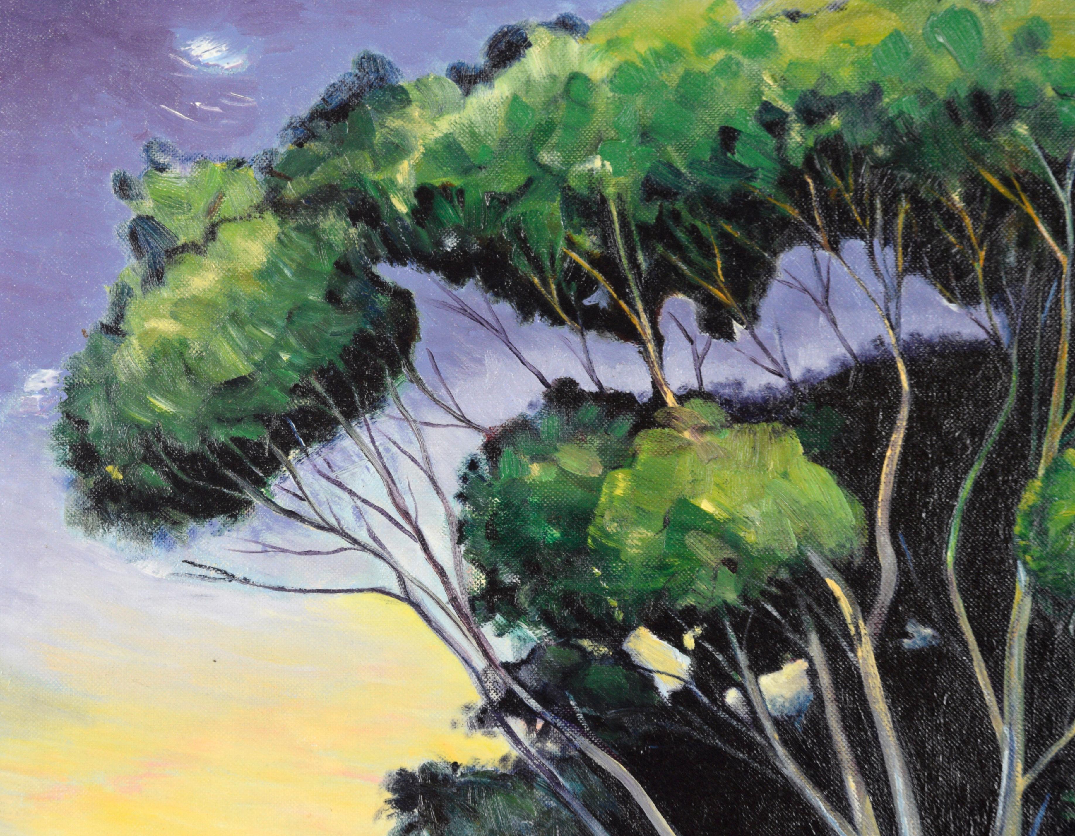 San Gregorio Sonnenuntergang - Landschaft (Amerikanischer Impressionismus), Painting, von Vern Hansen