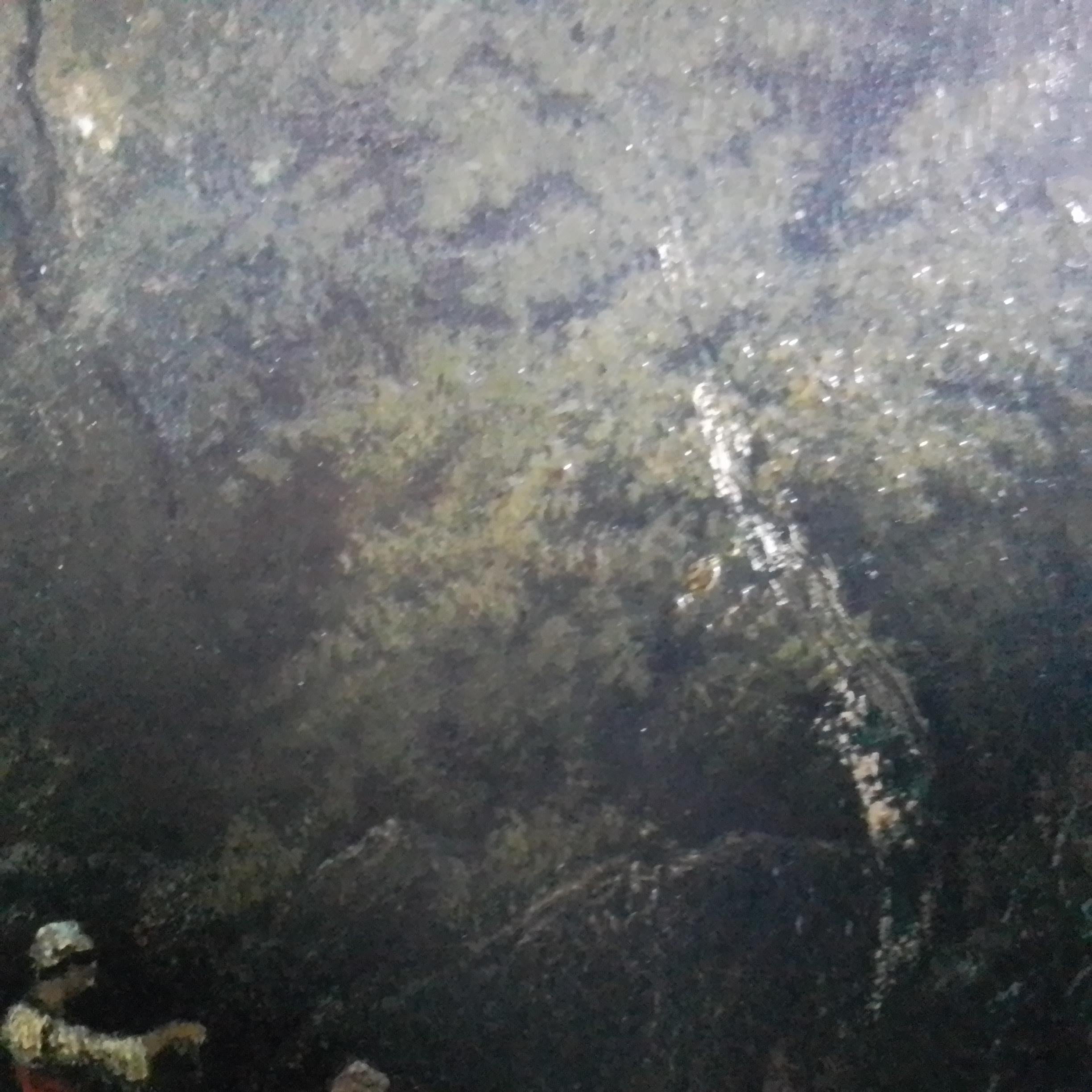 Paesaggio nella foresta di Fontainebleau in vendita 14