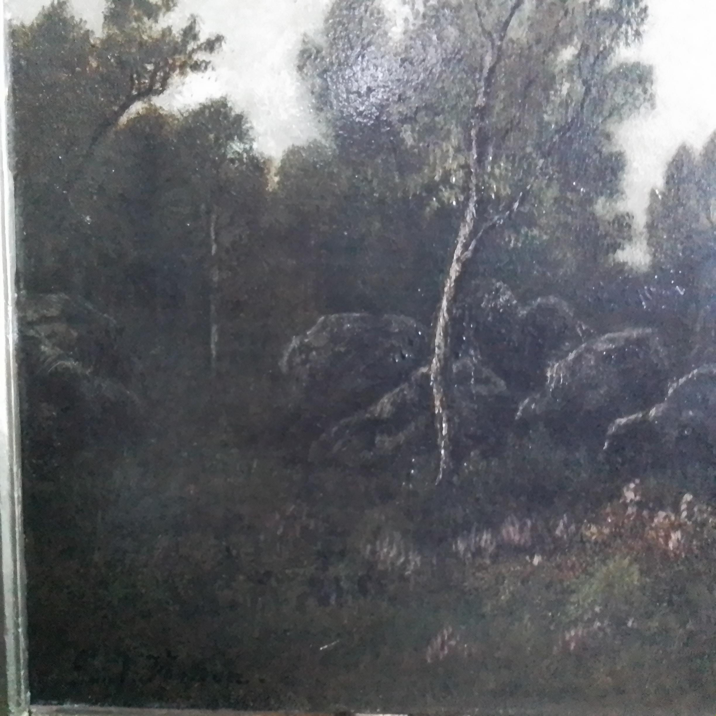 Paesaggio nella foresta di Fontainebleau in vendita 3