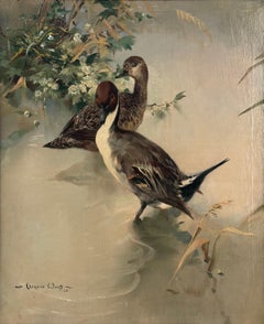 Pintails in May