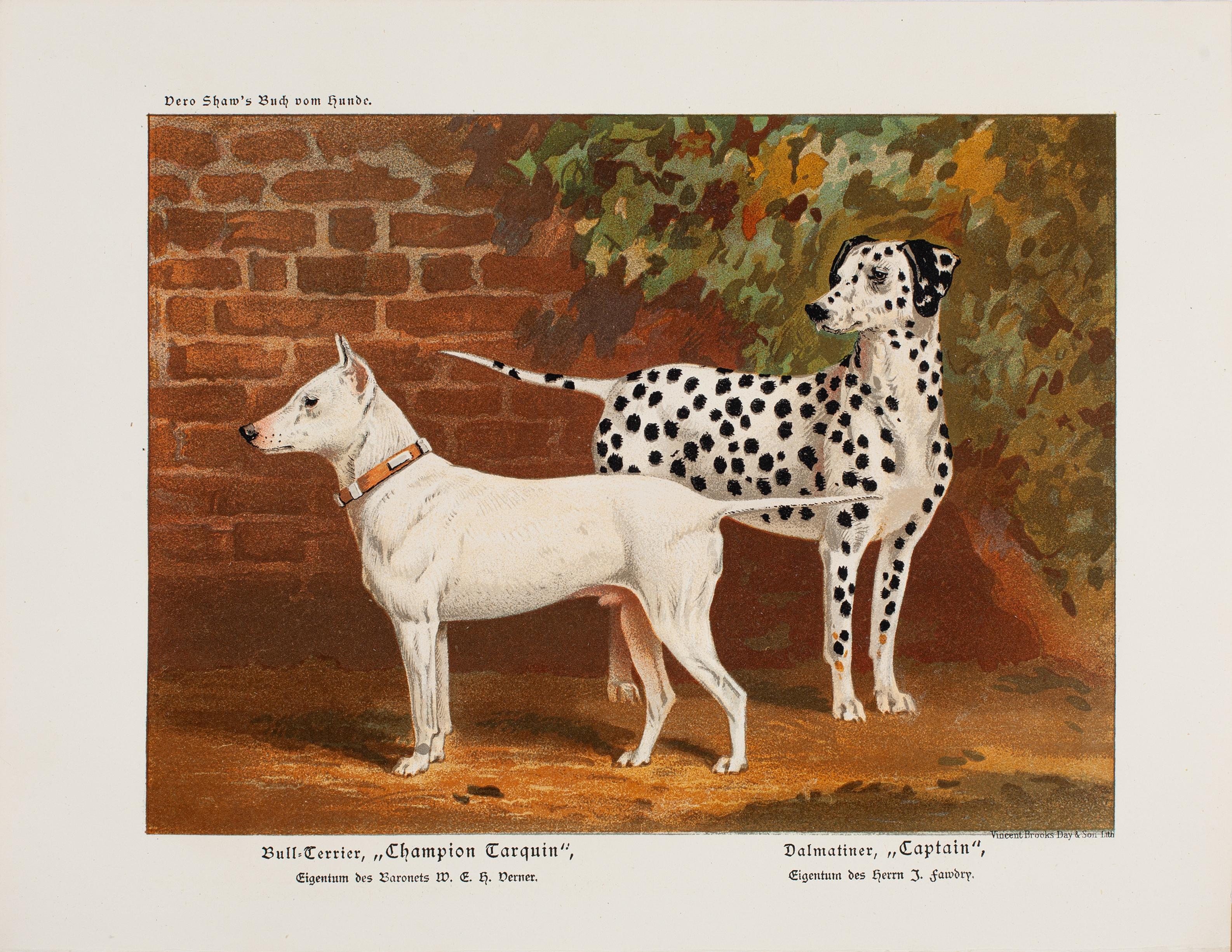 Vero Kemball Shaw Animal Print - Dalmation & Bull Terrier