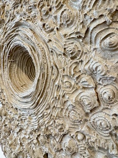 Wall Sculpture, Concrete Gray Convex Nature-Inspired, Seashell