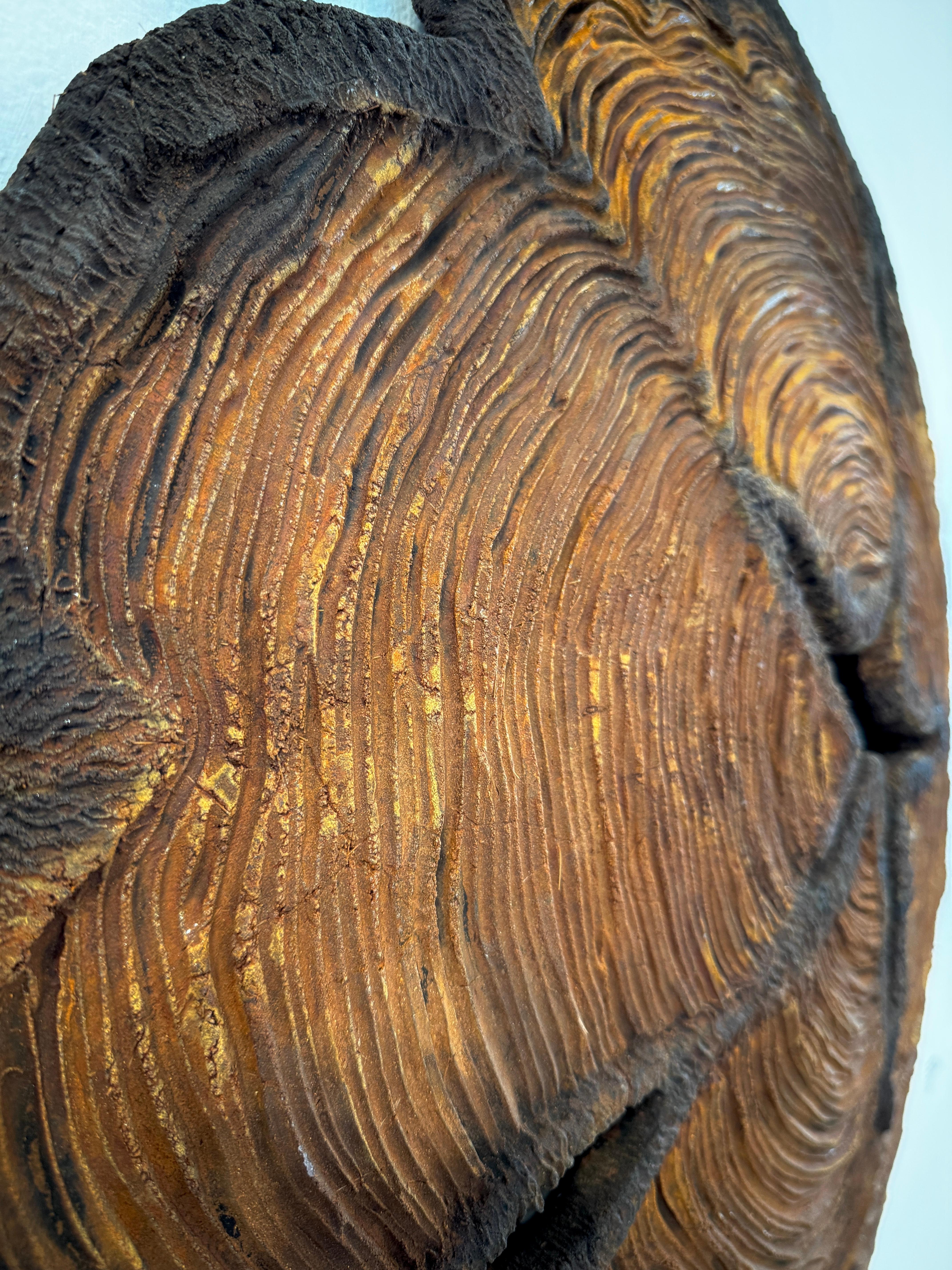 3 Dimensional Concrete wall sculpture, Tree Rings, 2020 For Sale 4