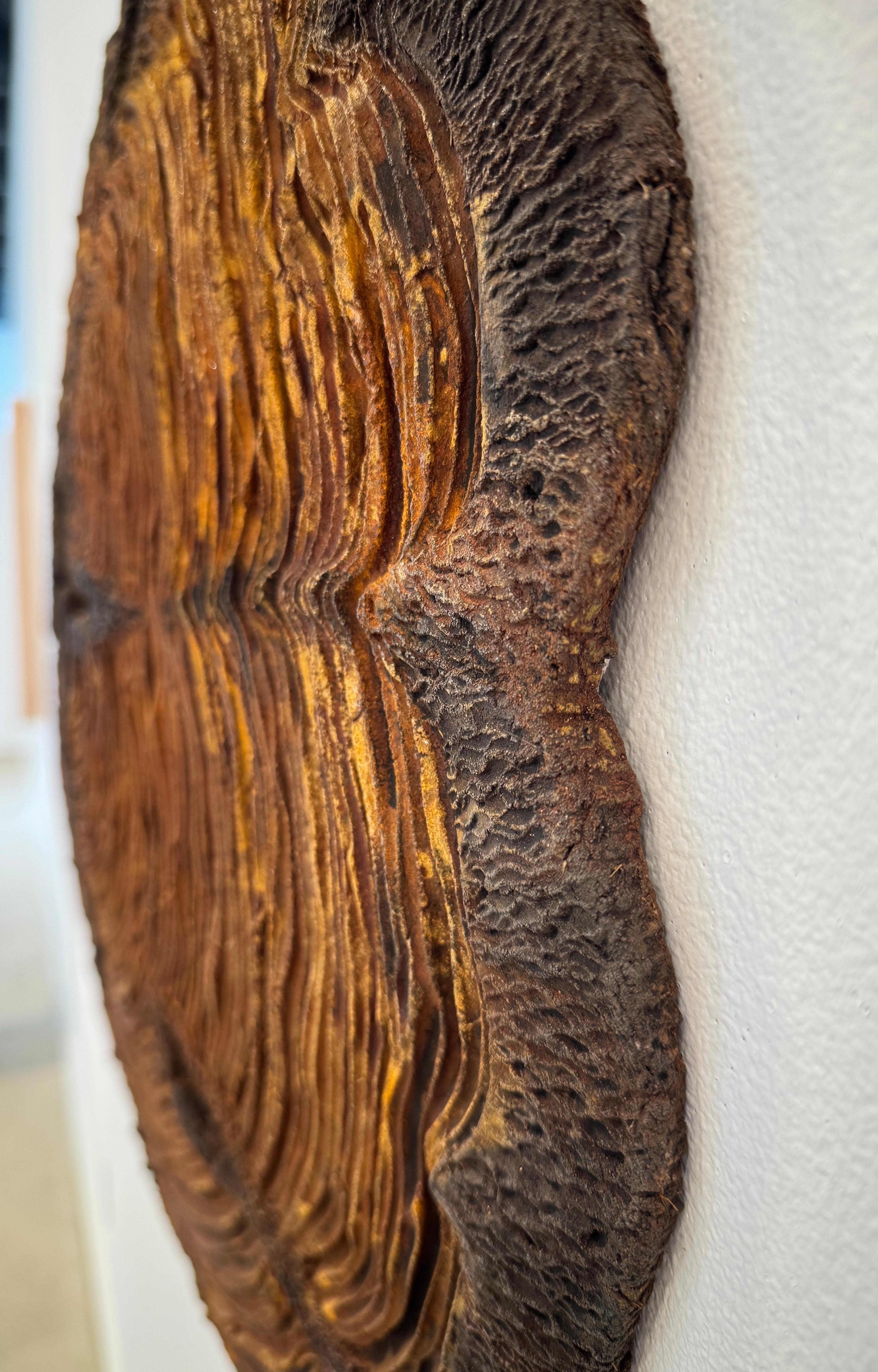 3 Dimensional Concrete wall sculpture, Tree Rings, 2020 For Sale 1