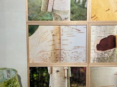 Photograph of an open tree, book, nature, green and yellow, freedom.