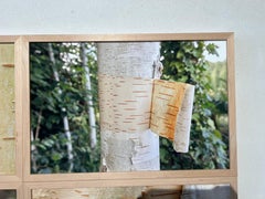 Photograph of an open tree, matte, red writing, natural language, green yellow