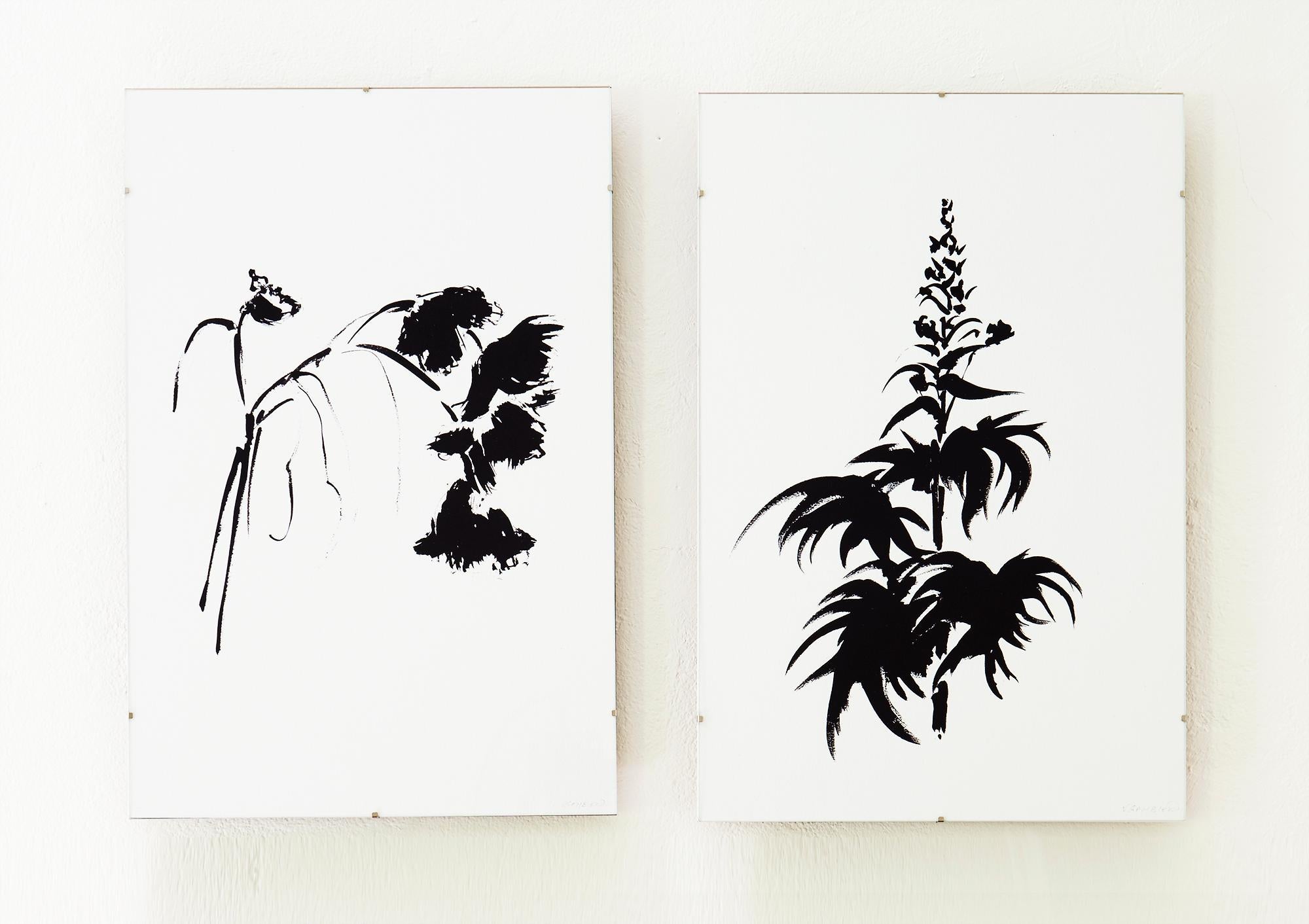 Botanical Study · Delphinium #1_Edition 1 of 10 - Black Still-Life Print by Véronique Gambier