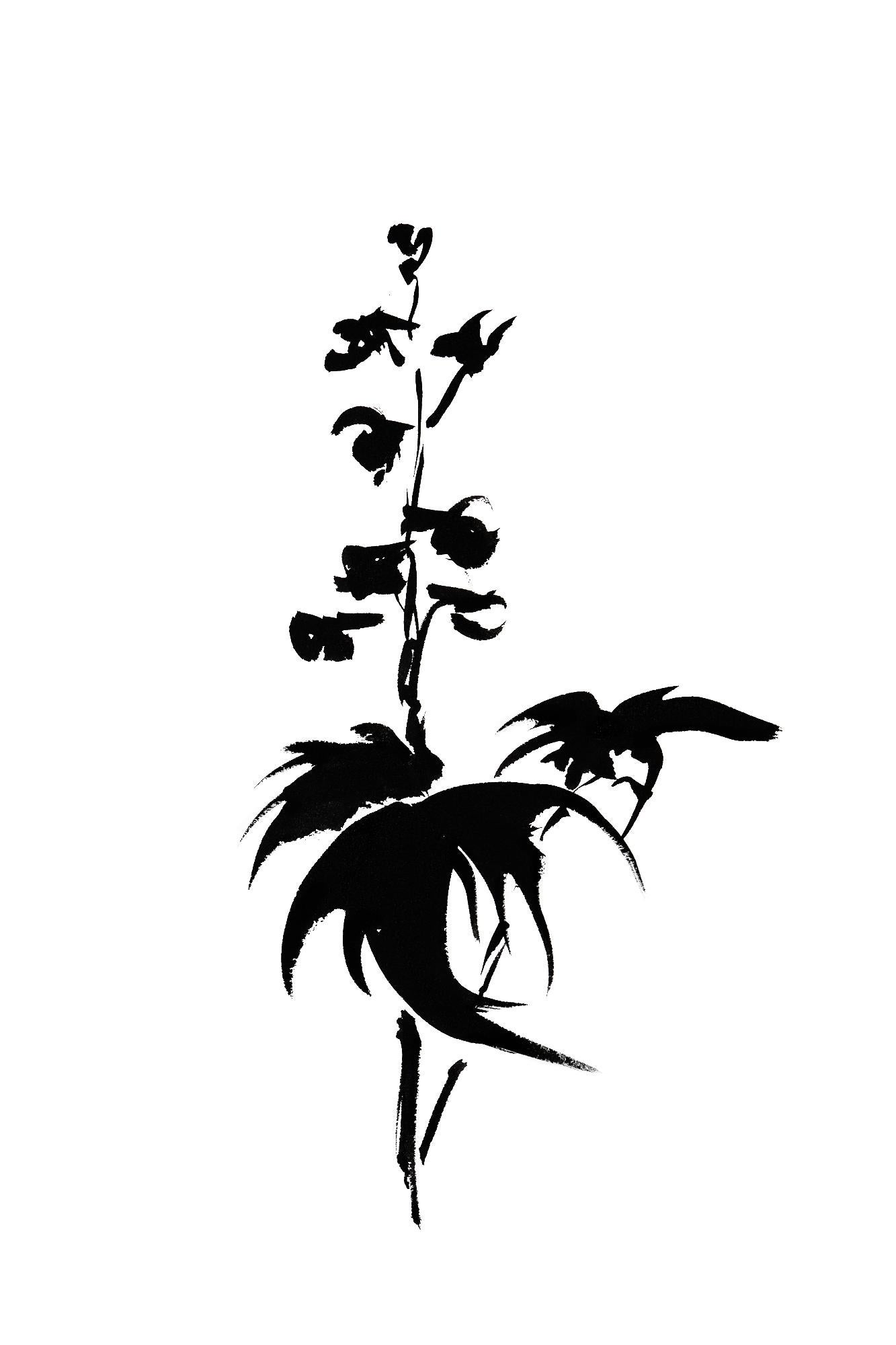 Véronique Gambier Landscape Print - Botanical Study · Delphinium #9_Edition 1 of 10