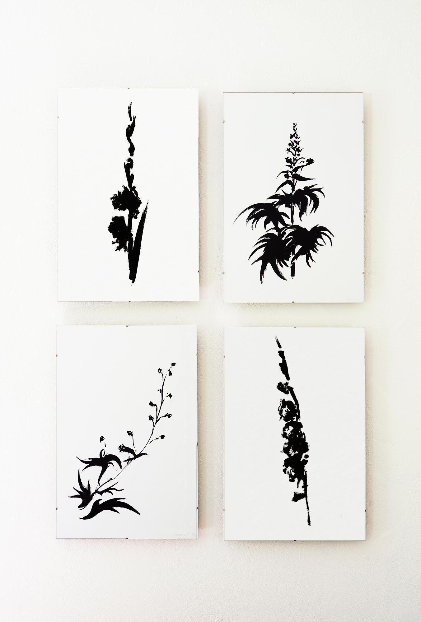 Botanical Study · Gladiolus #2_Edition 2 of 10 For Sale 1