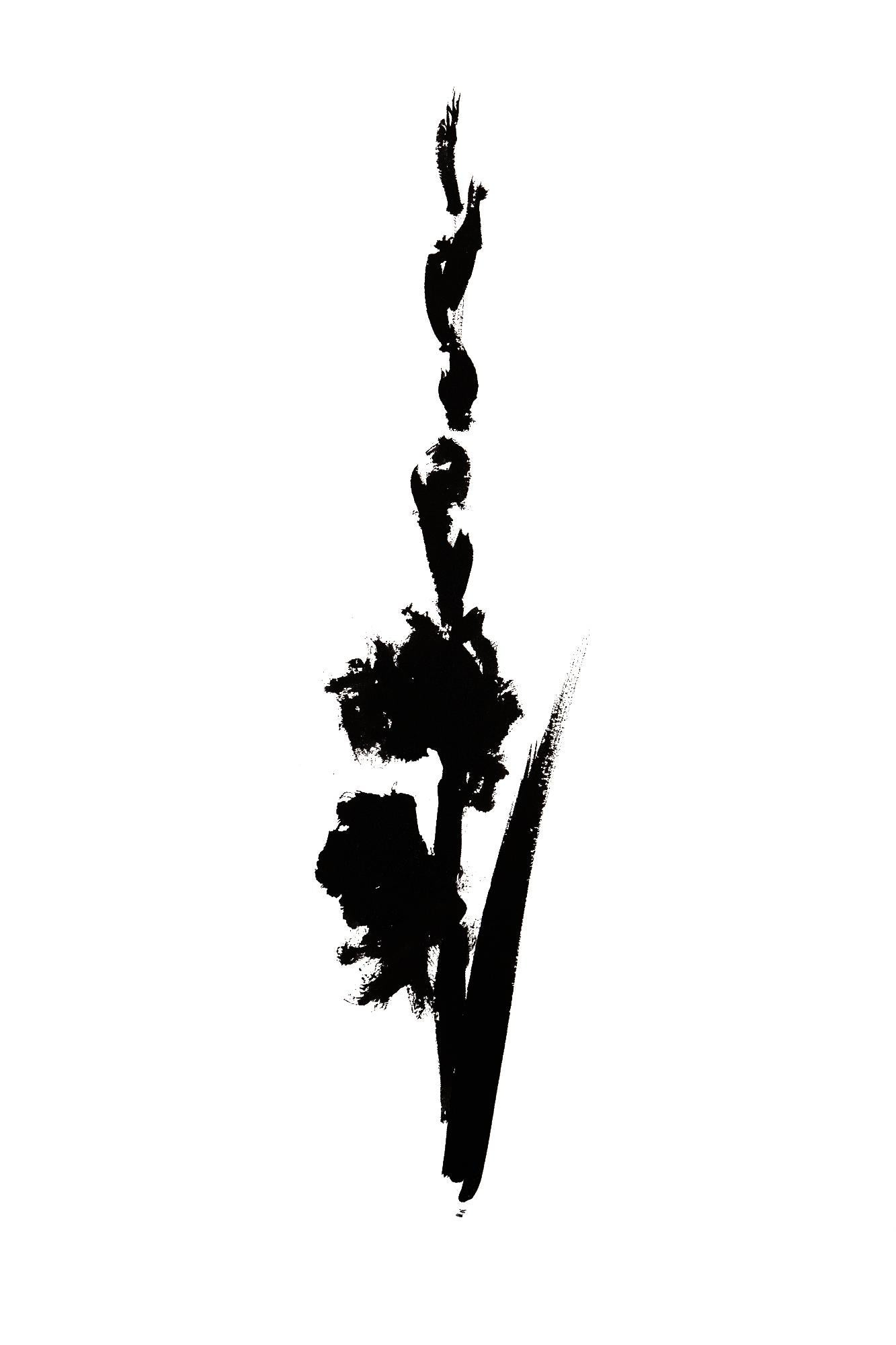 Véronique Gambier Still-Life Print - Botanical Study · Gladiolus #4_Edition 1 of 10