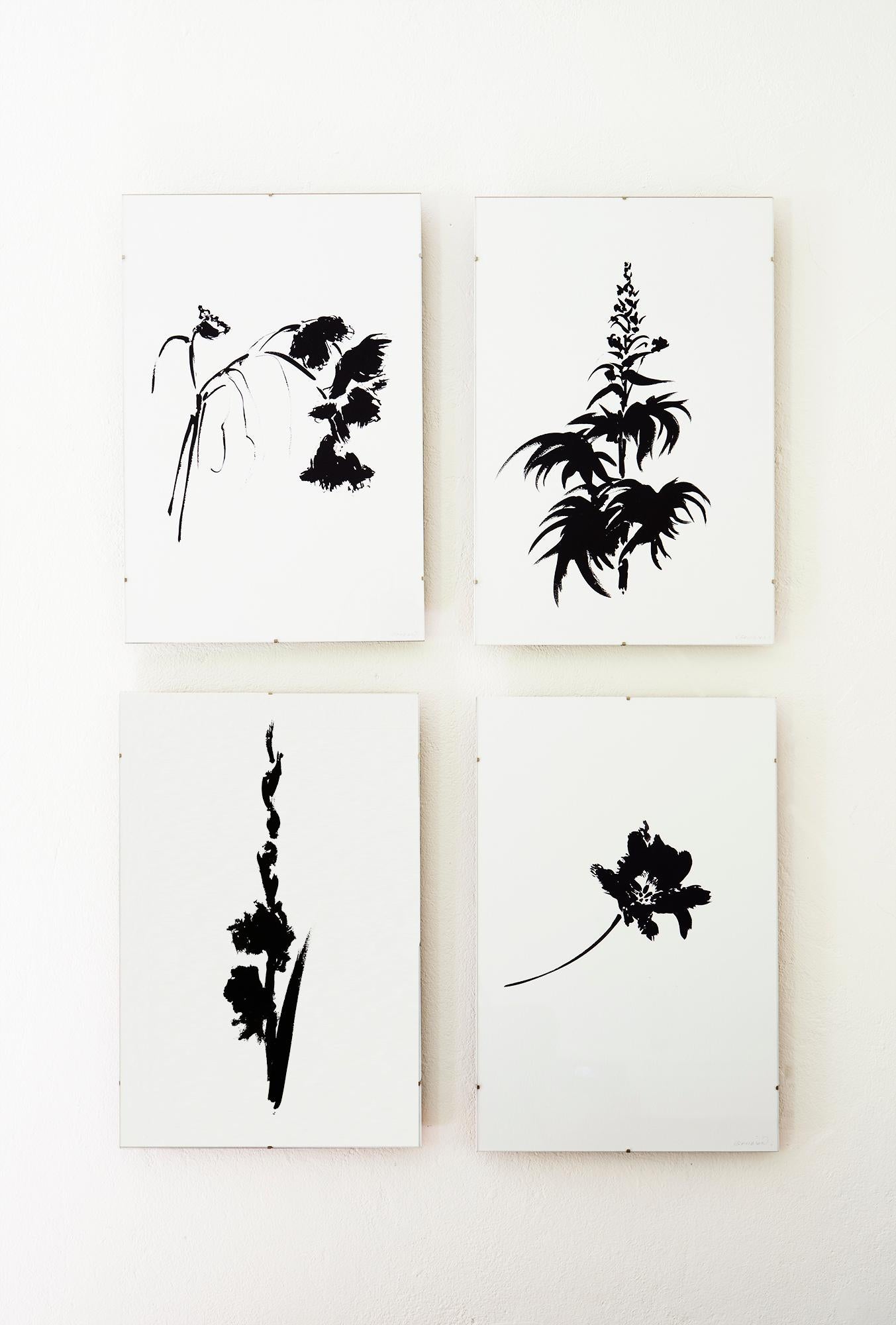 Botanical Study · Gladiolus #4_Edition 4 of 10 For Sale 3