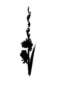 Botanical Study · Gladiolus #4_Edition 4 of 10