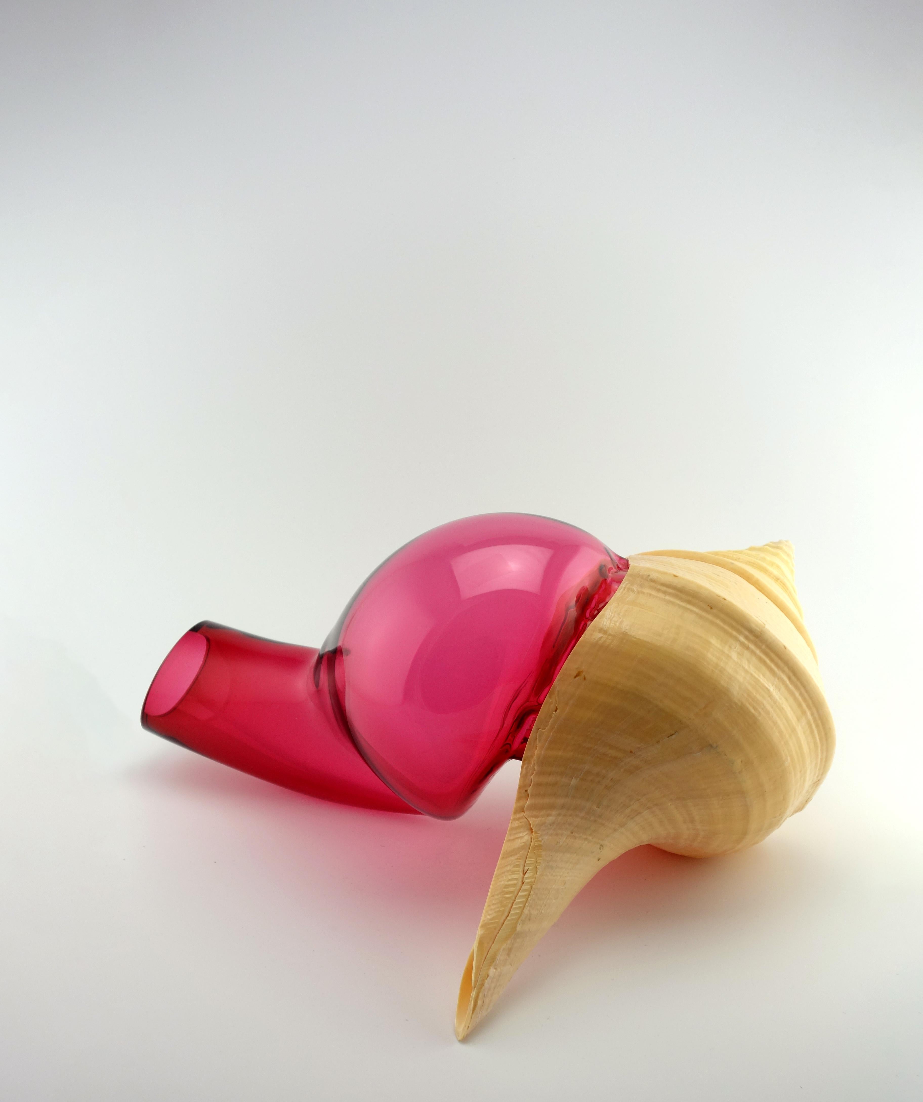 Questa straordinaria creazione di Vanessa Mitrani presenta una forma di vetro rosa soffiato a mano che emerge da una grande conchiglia, catturando la bellezza dinamica della natura in un'espressione contemporanea. Il vetro fuso scorre organicamente,