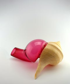 Verre Soufflé - Coquillage - Vanessa Mitrani