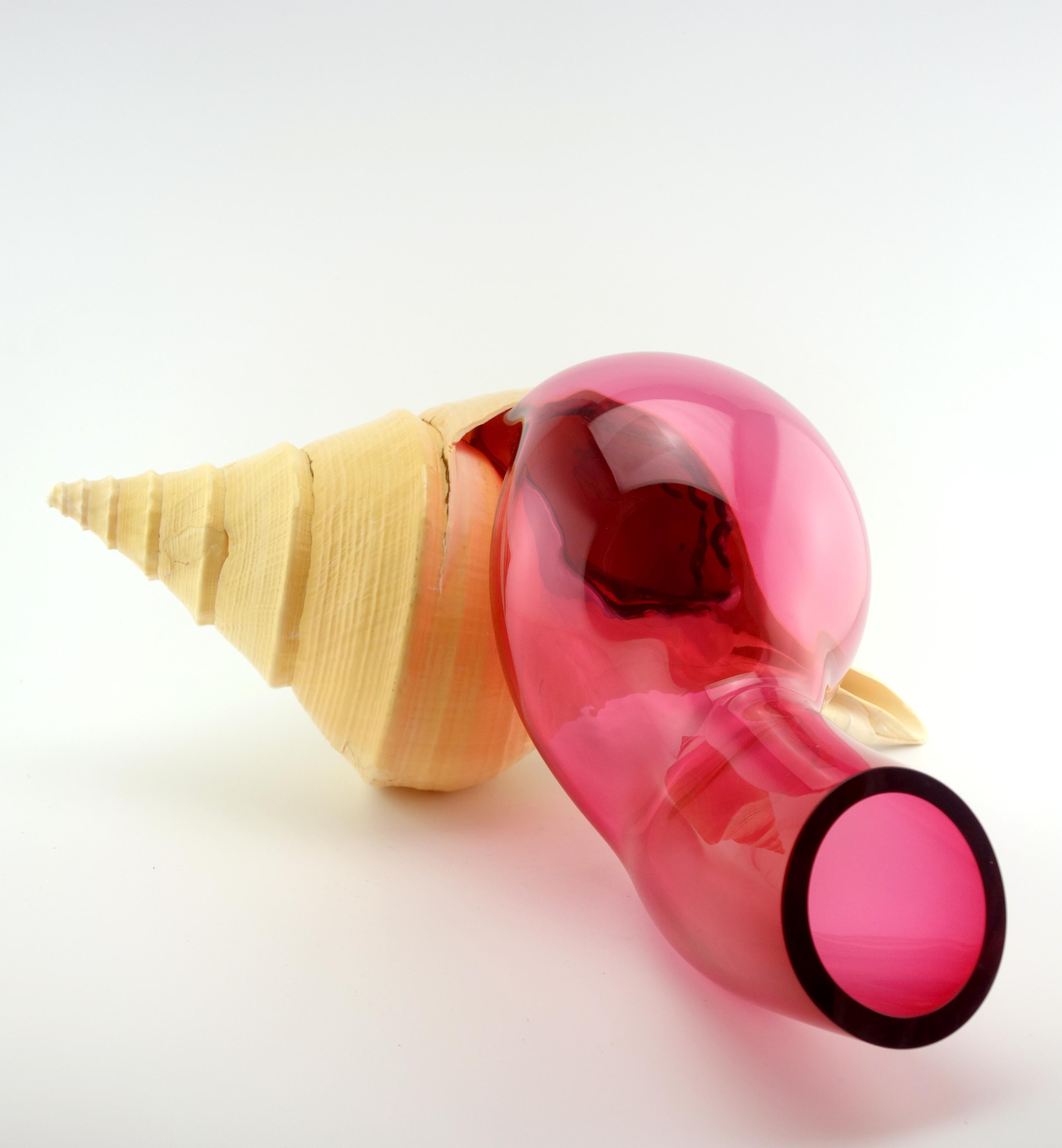 Francese Verre Soufflé - Coquillage - Vanessa Mitrani in vendita