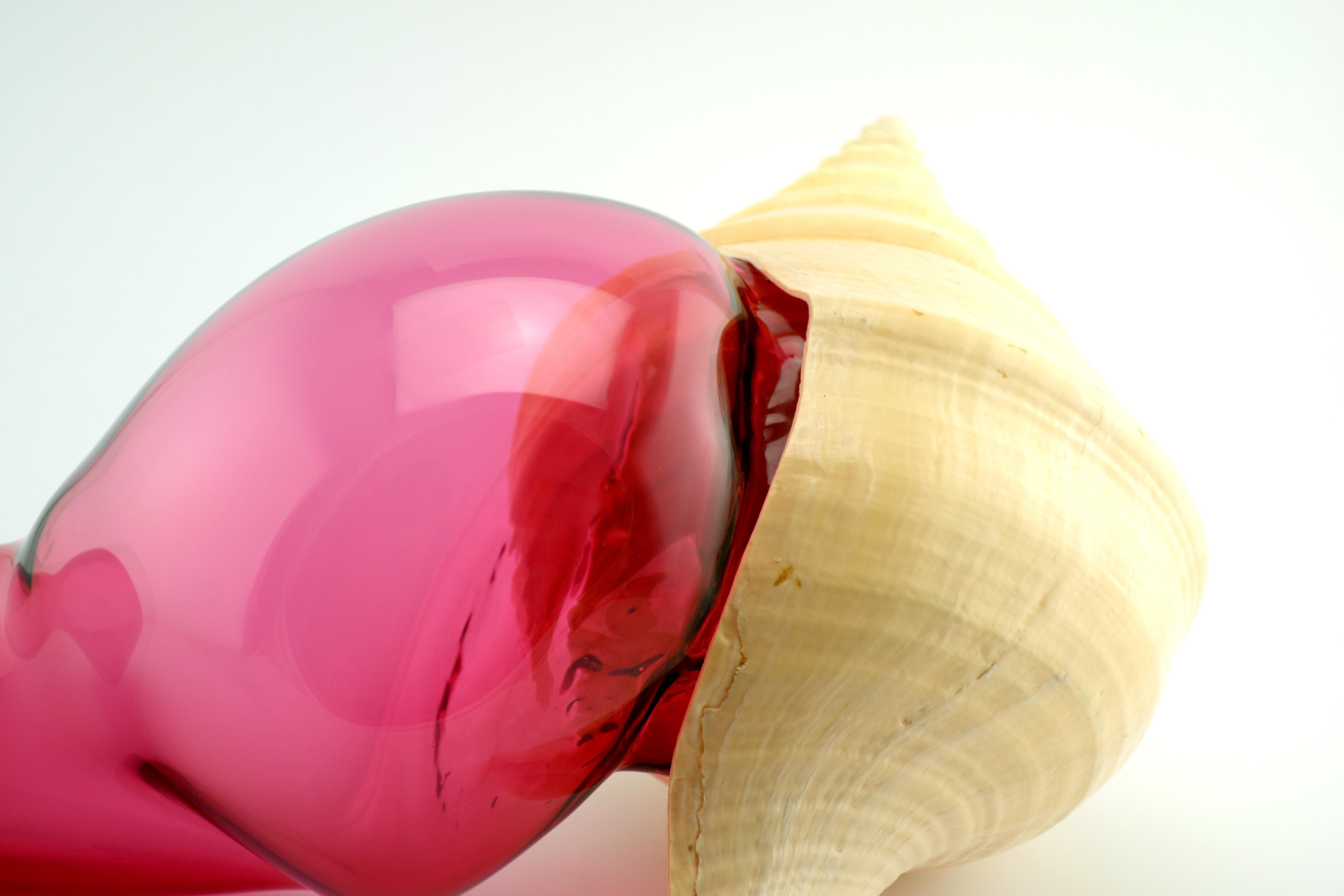 Verre Soufflé - Coquillage - Vanessa Mitrani In condizioni Nuovo in vendita a PANTIN, FR