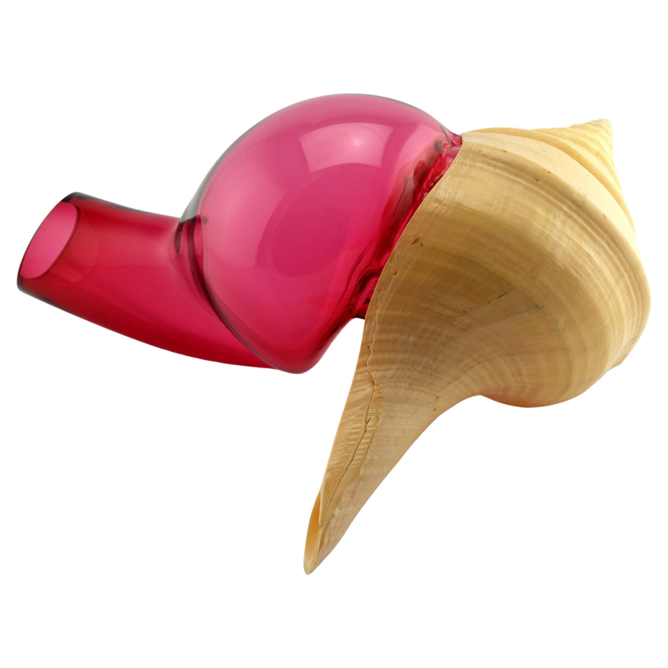 Verre Soufflé - Coquillage - Vanessa Mitrani in vendita