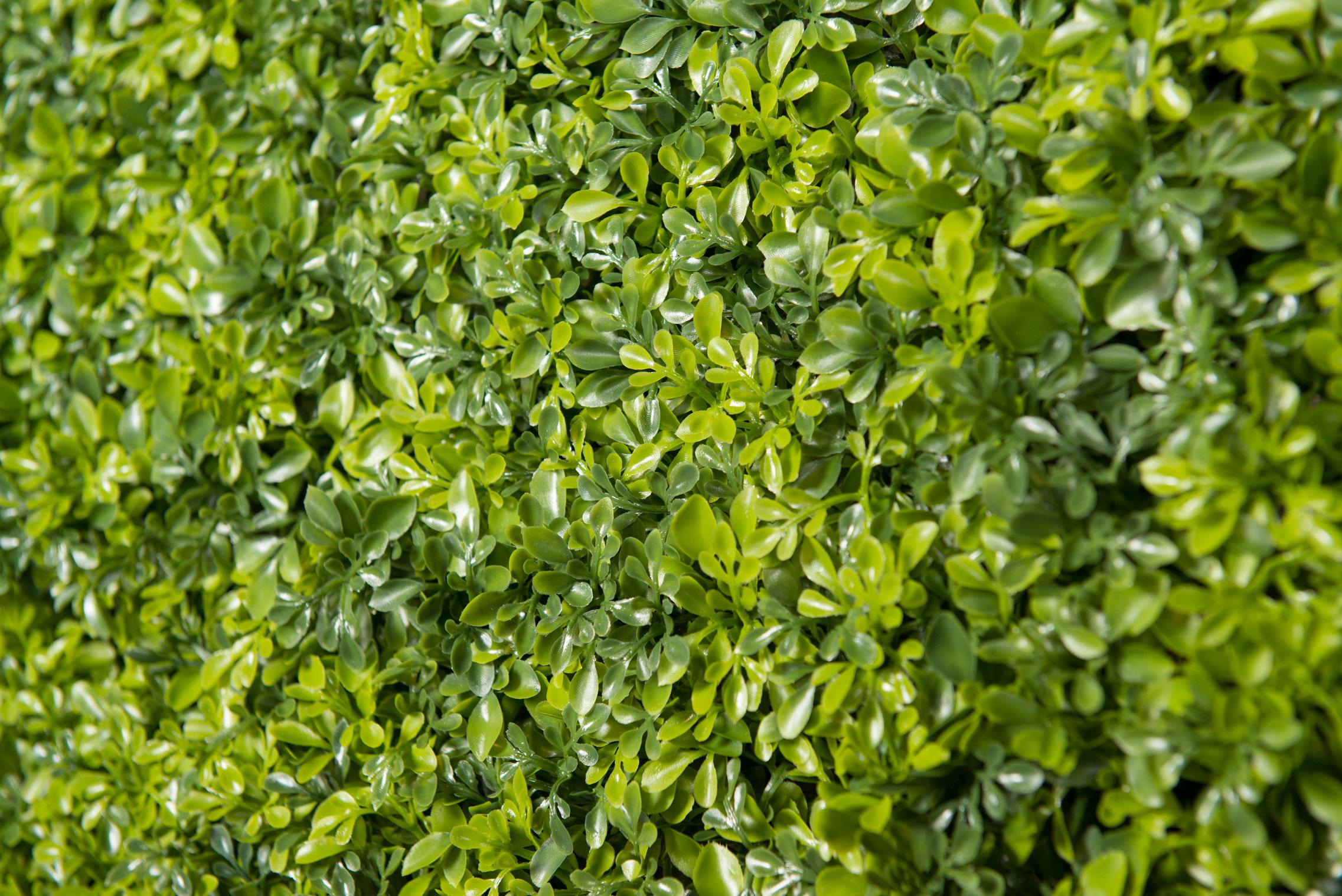 Italian Vertical Garden Bosso Mix, Artificial Greenery, Indoor and Outdoor Use, Italy For Sale