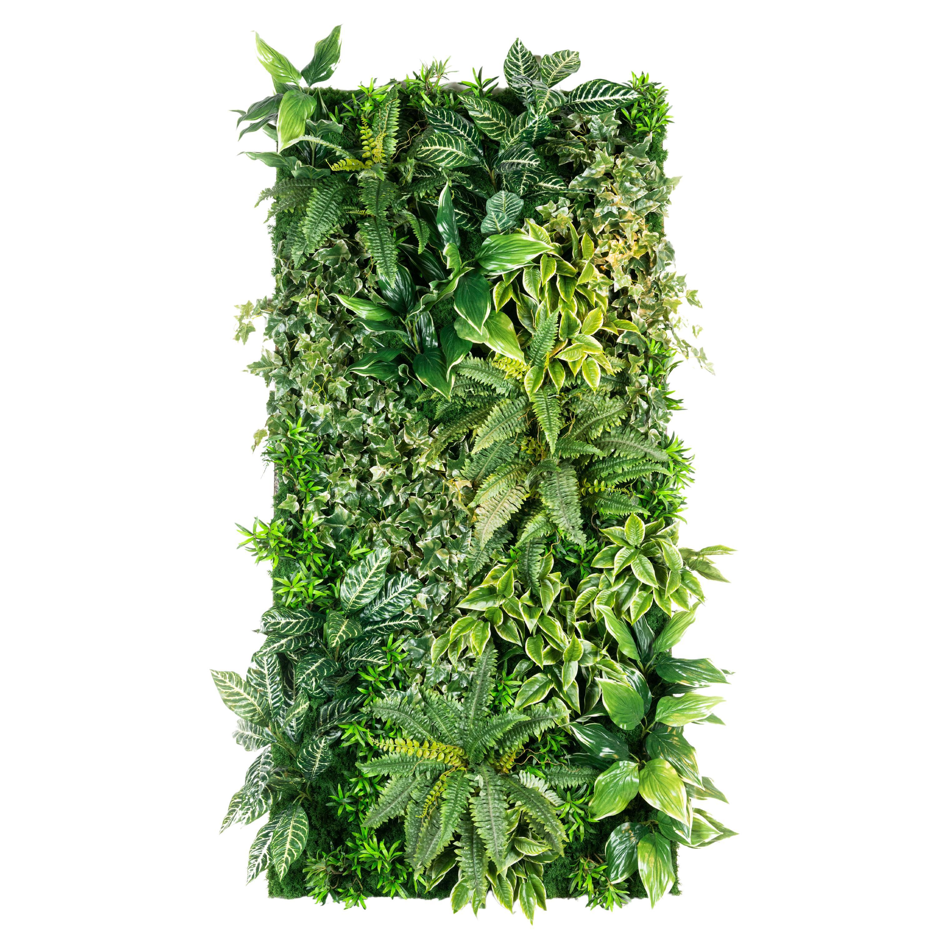 Vertical Garden Kaindy, Artificial Greenery, Indoor Use, Italy