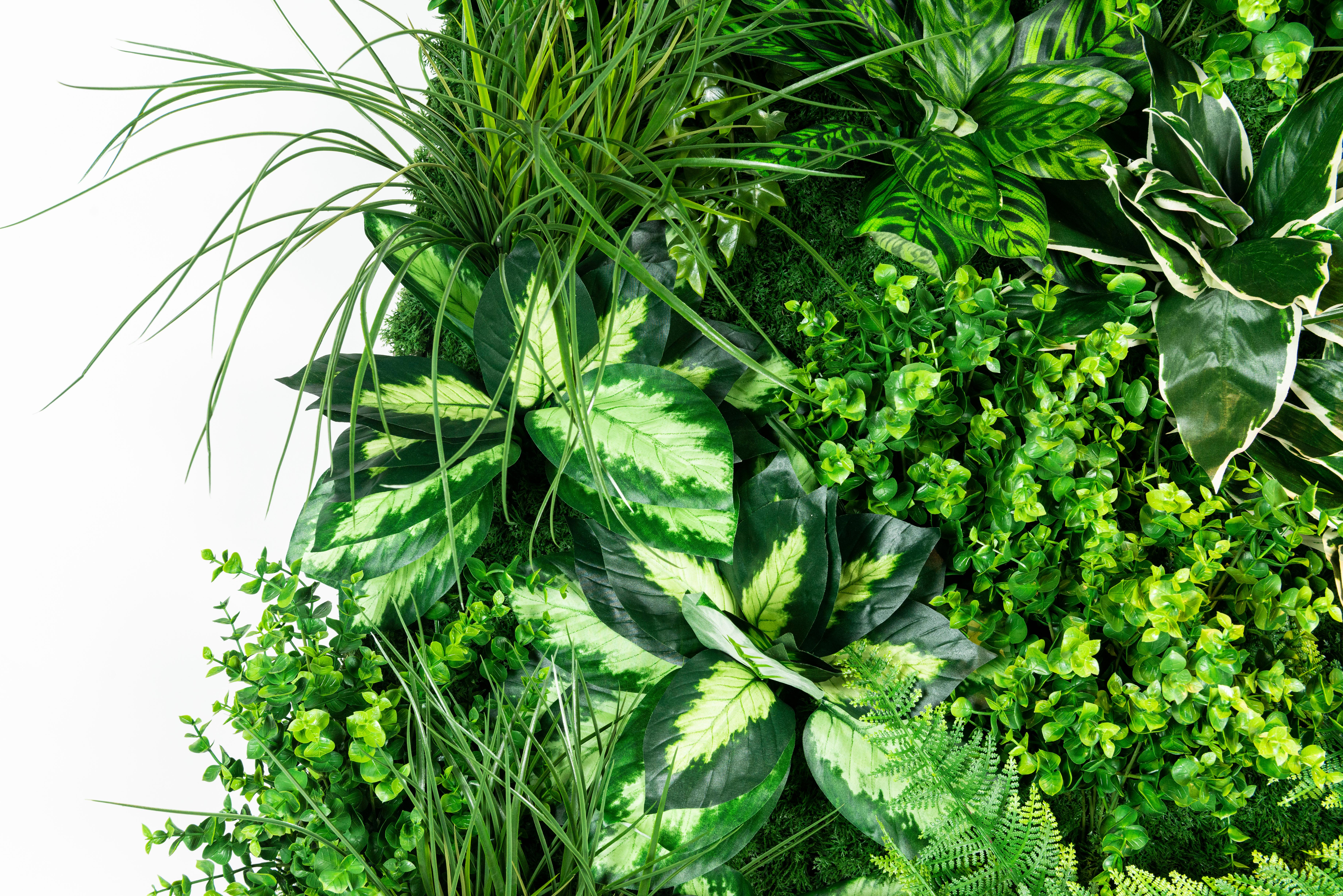 Modern Vertical Garden Molokai, Artificial Greenery, Indoor and Outdoor Use, Italy For Sale