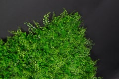 Vertical Garden Tundra:: verdure artificielle:: usage intérieur et extérieur:: Italie