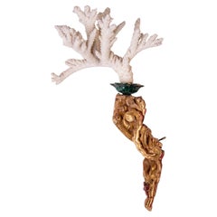 Vertical Golden Frieze with Madrepore