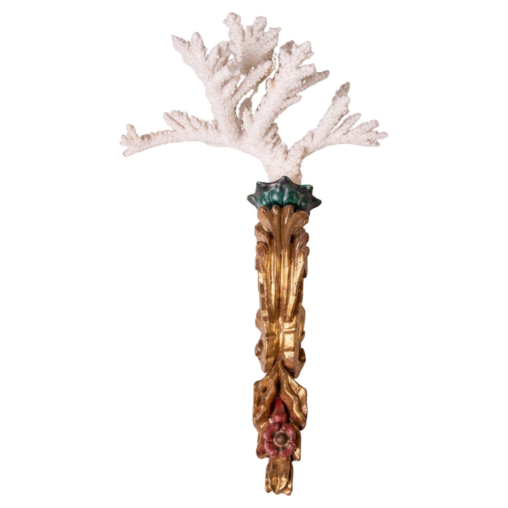 Fregio d'oro verticale con Madrepore in vendita