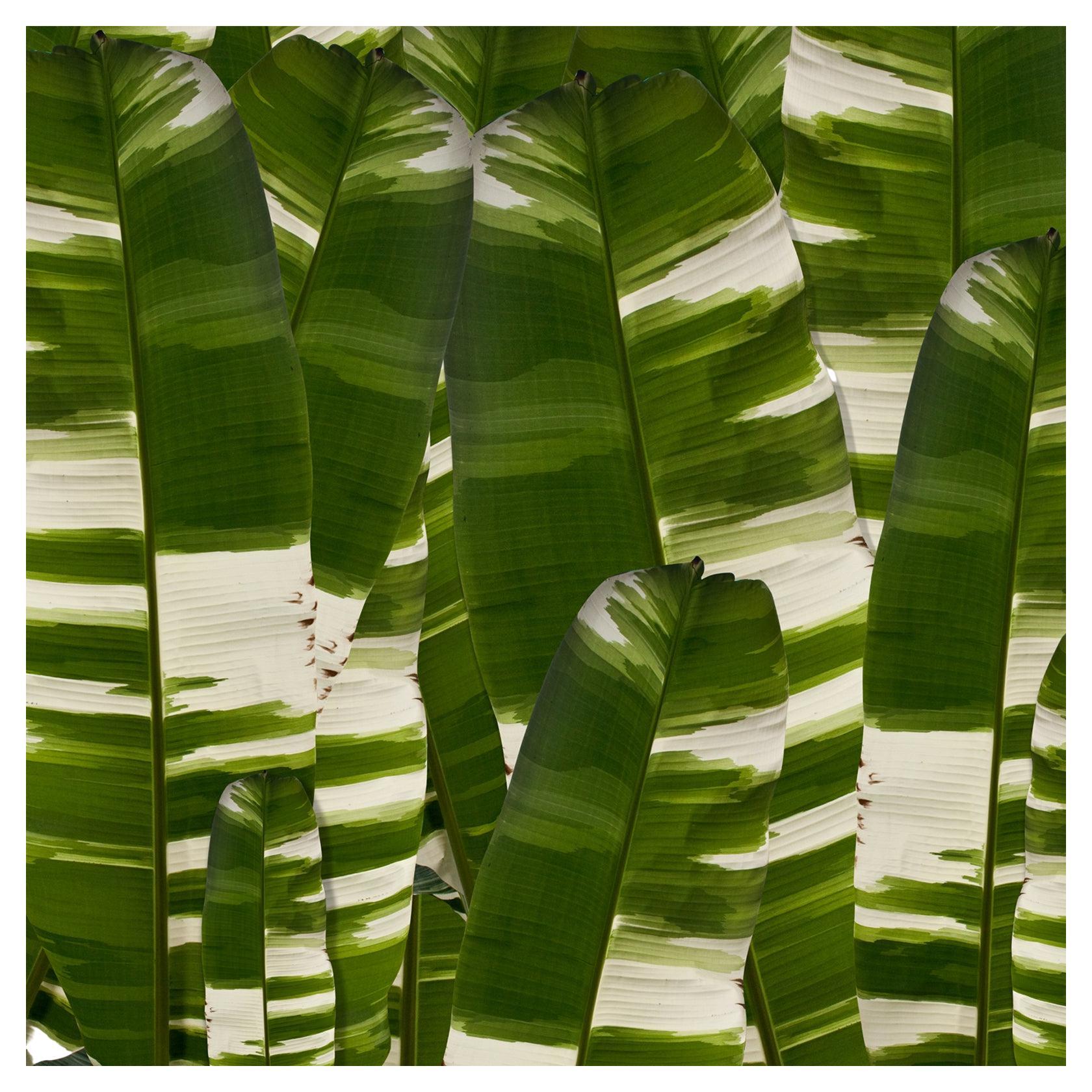 EDGE Collections Vertical Leaf Camo from our Tropical Modernism Collection For Sale