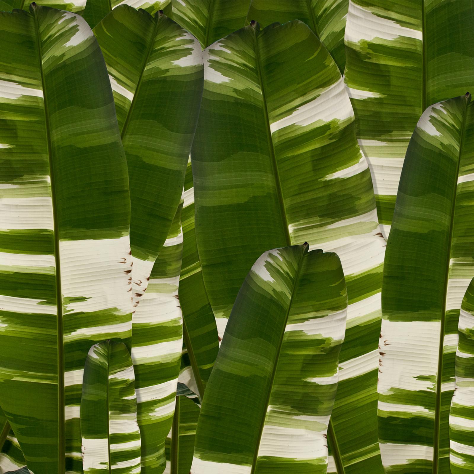 American EDGE Collections Vertical Leaf Verde from our Tropical Modernism Collection For Sale