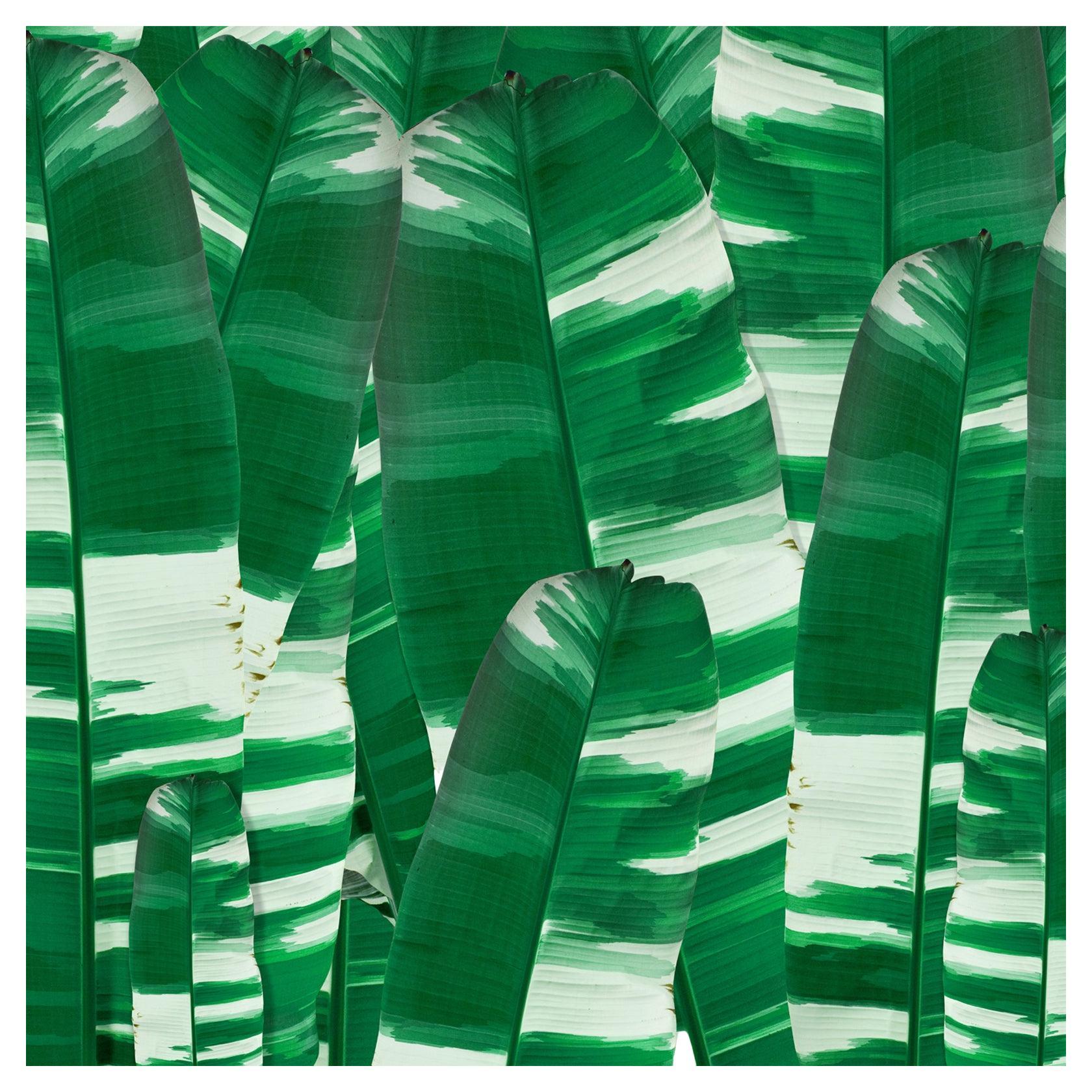 EDGE Collections Vertical Leaf Verde from our Tropical Modernism Collection For Sale