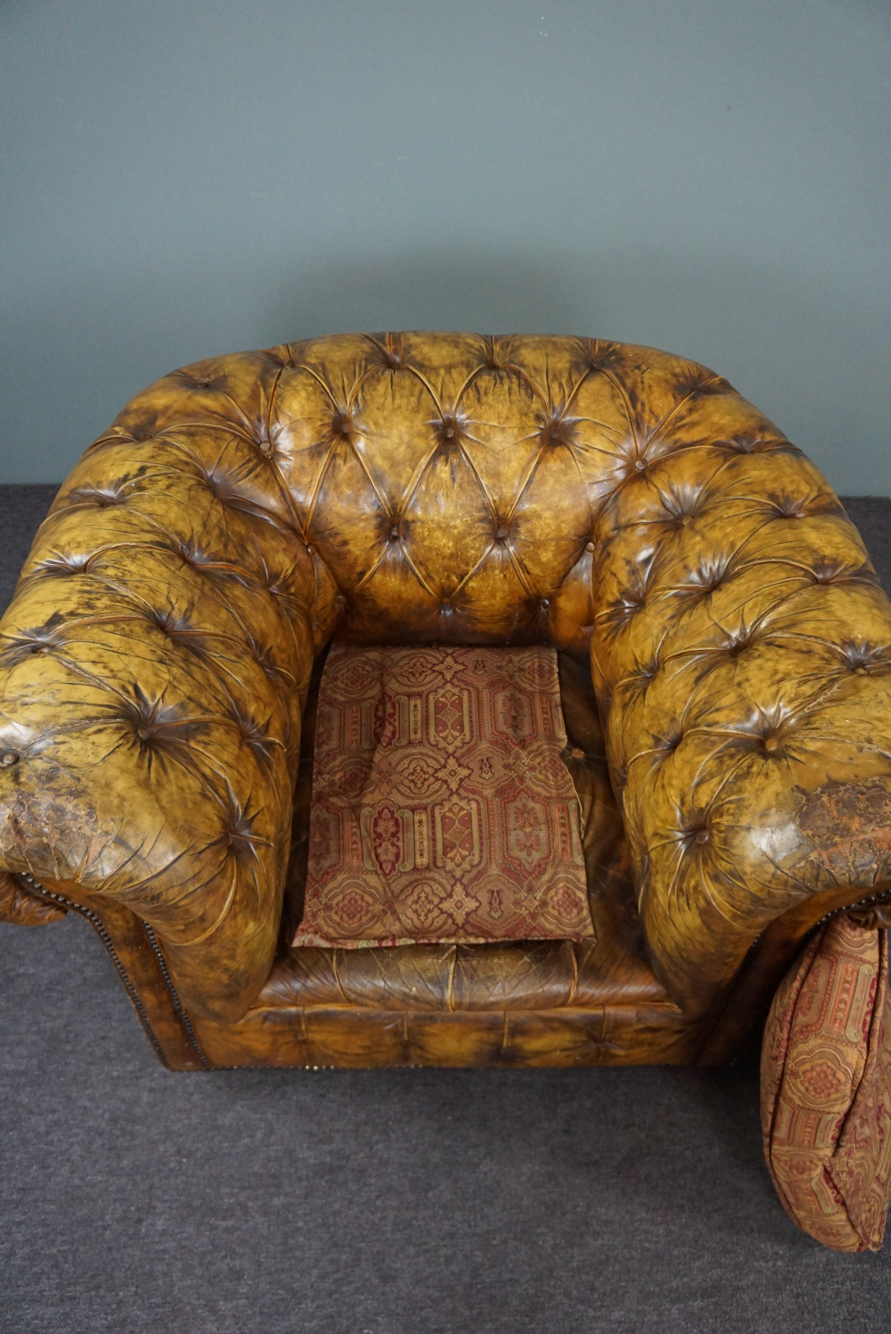 20th Century Very beautiful old Chesterfield armchair full of patina For Sale