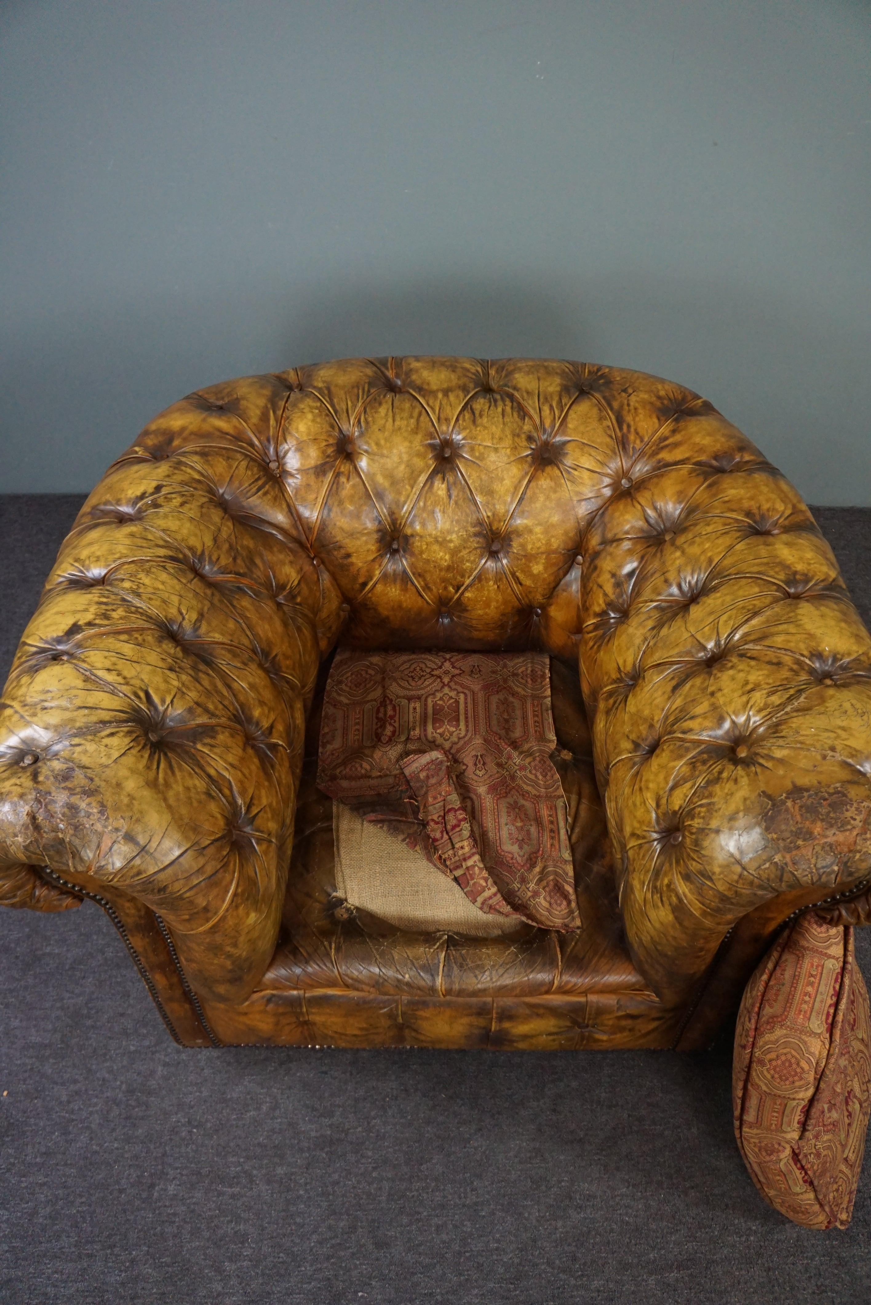 Cowhide Very beautiful old Chesterfield armchair full of patina For Sale