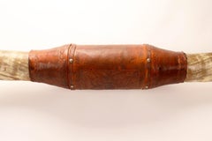 Die Hörner eines sehr großen Rindes, Indianer, Stanta Fè, NM, 1860.