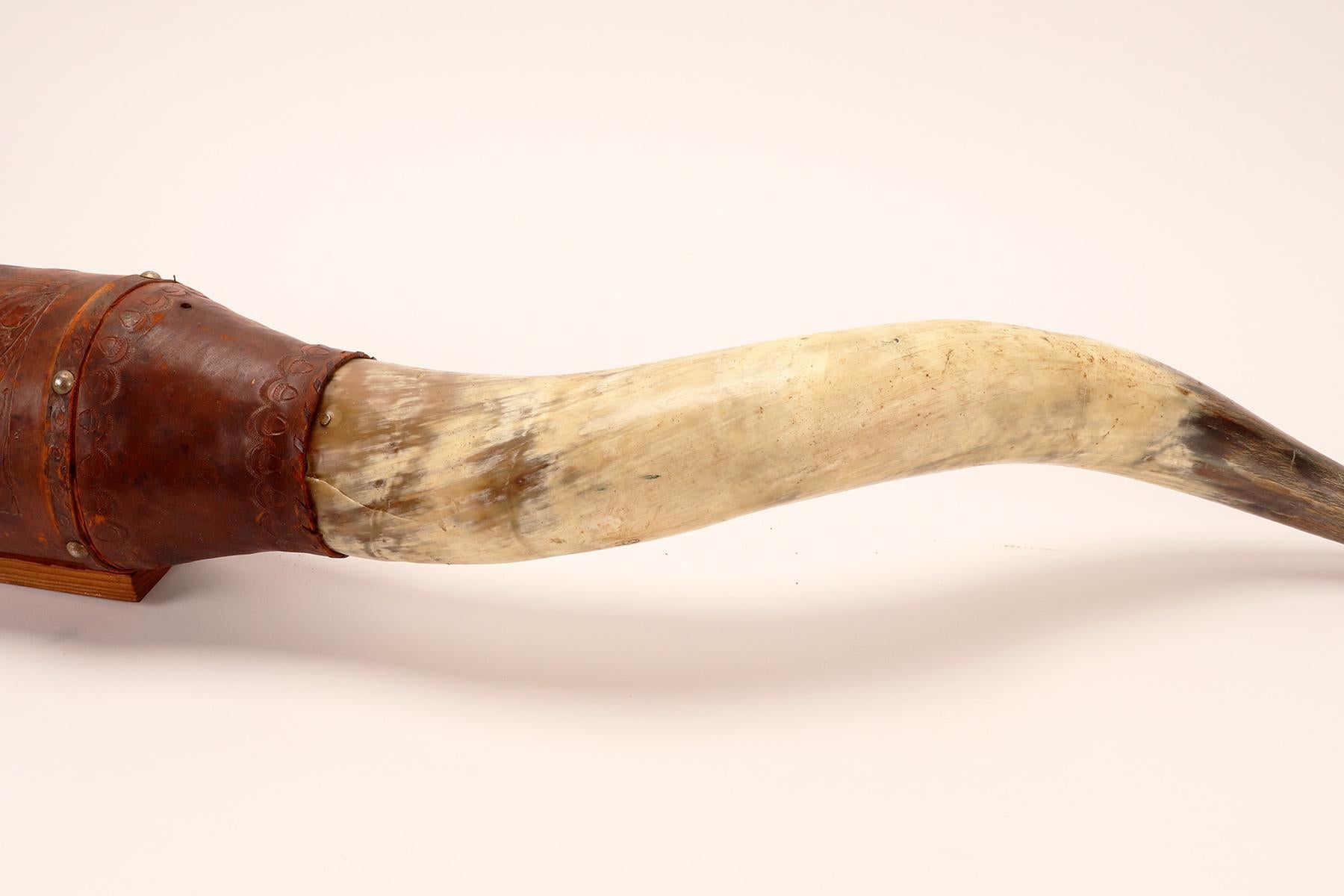 Très grandes cornes de bovins, Amérindien, Stanta Fè, NM, 1860. en vente 3