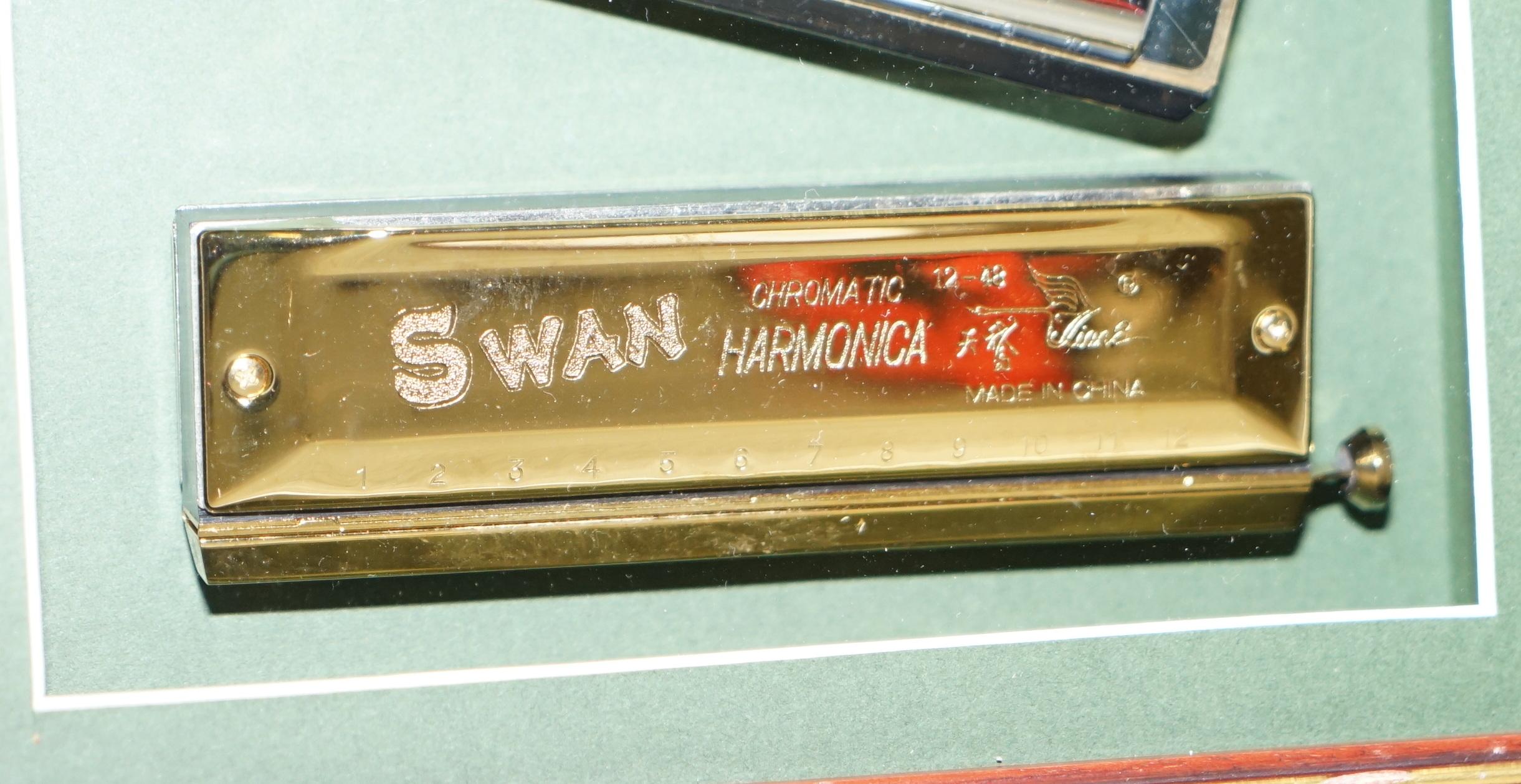 Very Cool Vintage Harmonicas Display Hohners Swan Mariane Band Chrome Gold Gilt 1