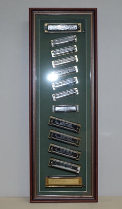 Very Cool Vintage Harmonicas Display Hohners Swan Mariane Band Chrome Gold Gilt