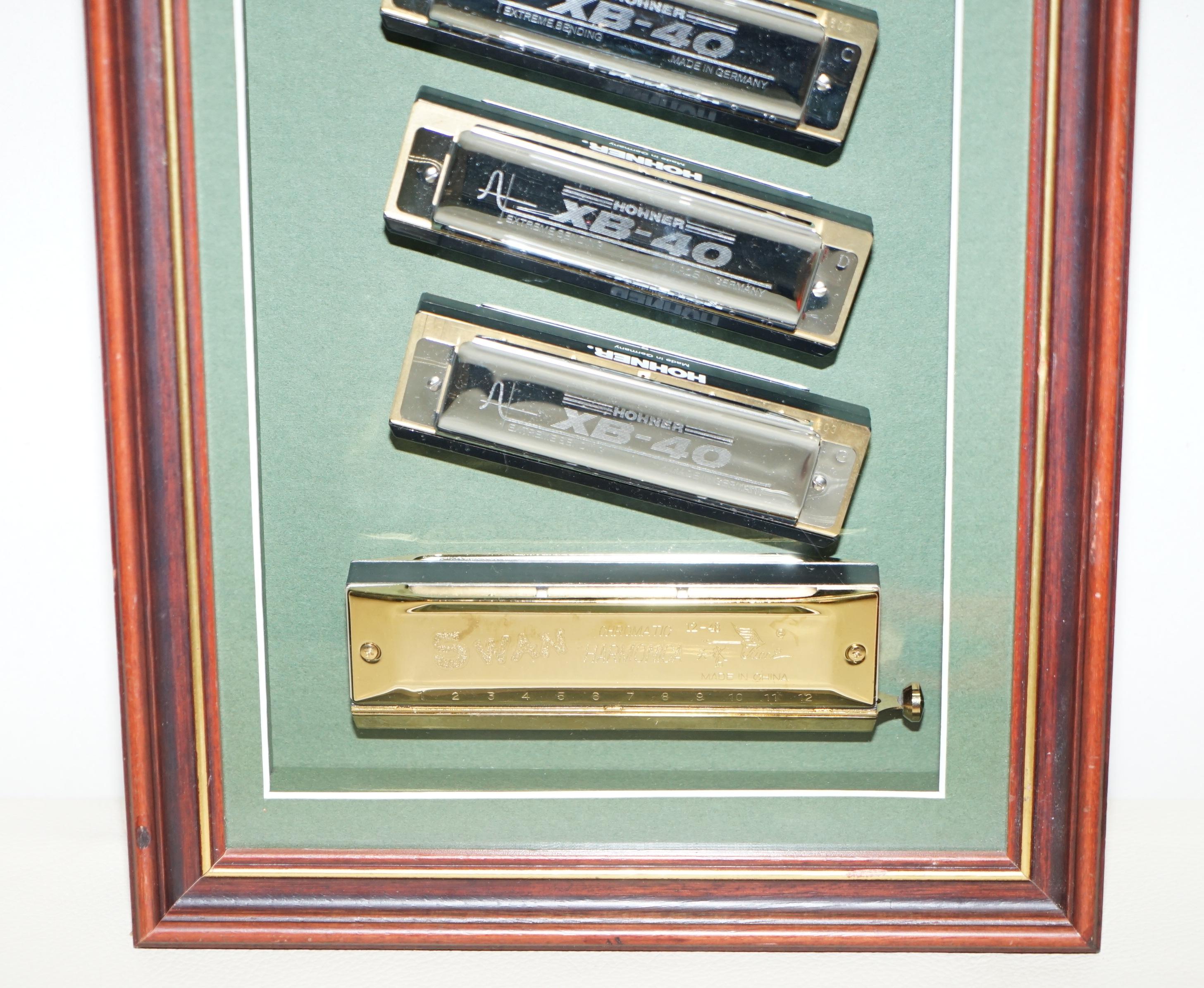 20th Century Very Cool Vintage Harmonicas Display Hohners Swan Mariane Band Chrome Gold Gilt