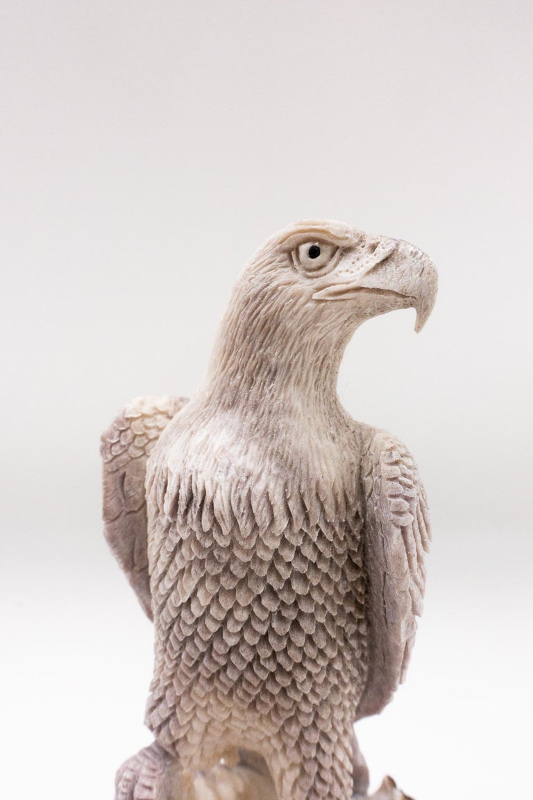 very detailed and large north american moose antler