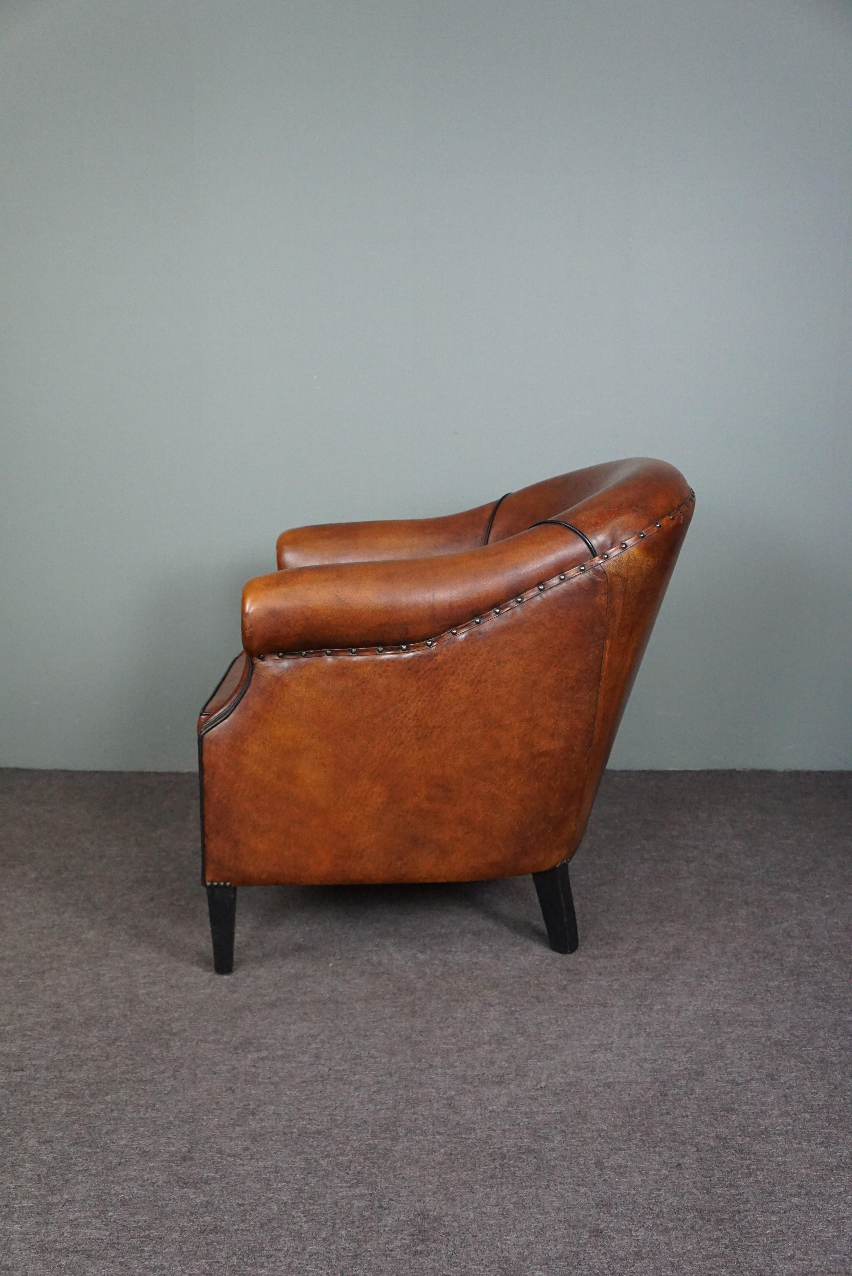 Dutch Very expressive sheep leather club chair with black piping For Sale