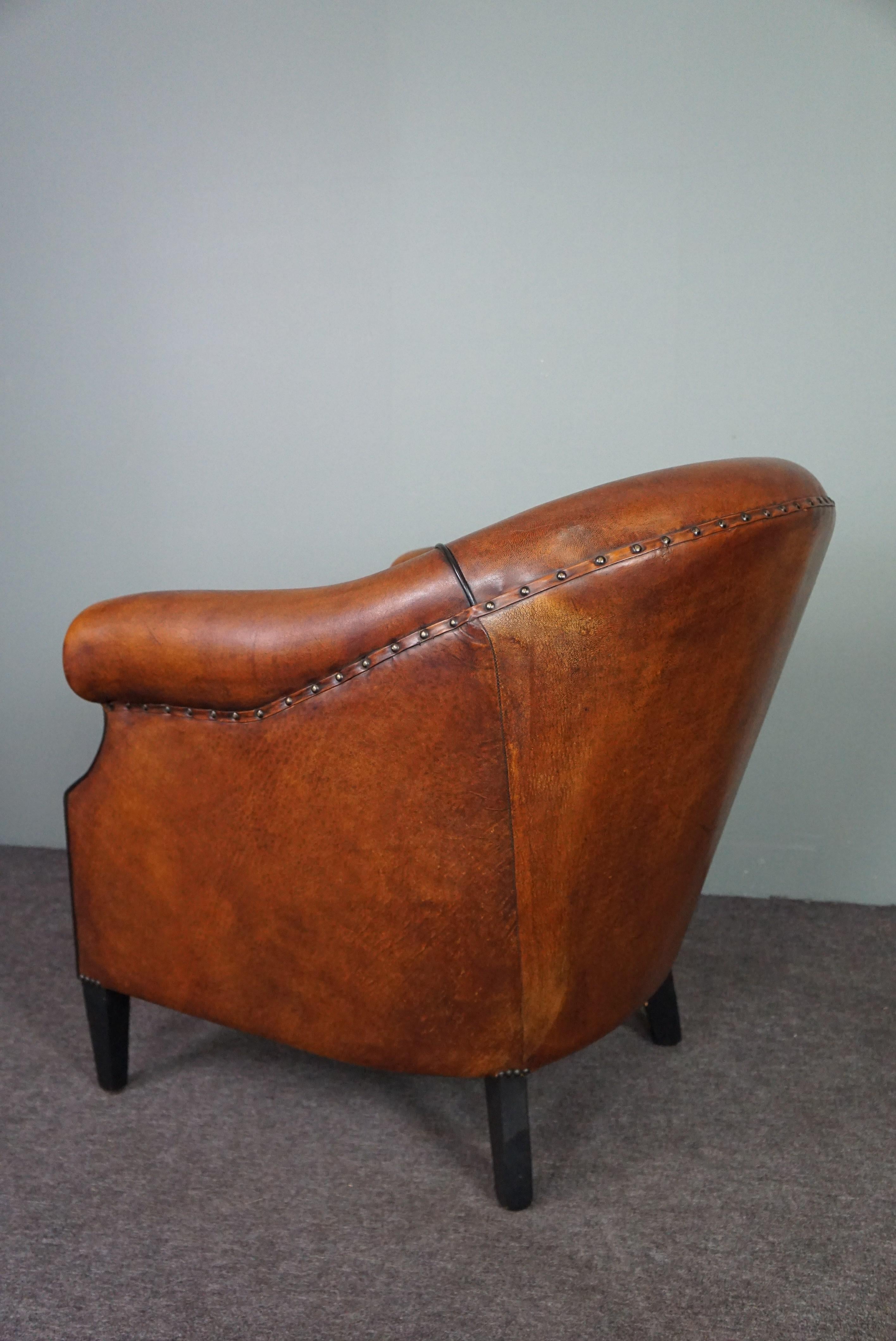 Very expressive sheep leather club chair with black piping For Sale 1
