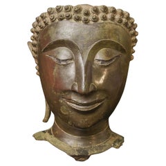 Très belle tête de Bouddha Sukhothai classique du 14e siècle - Sourire spécial 9730