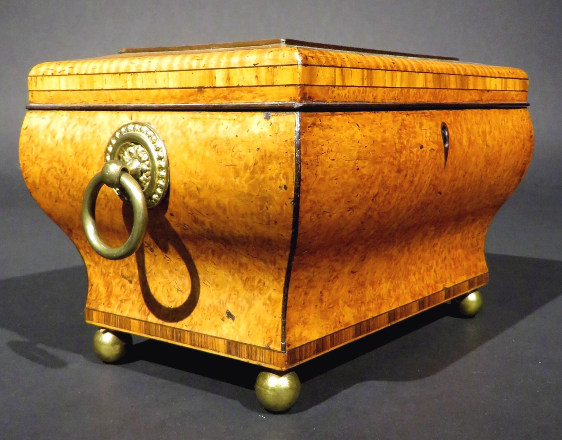 Very Fine Biedermeier Period Tea Caddy of Bombe Form in Exotic Woods, circa 1830 In Good Condition For Sale In Ottawa, Ontario