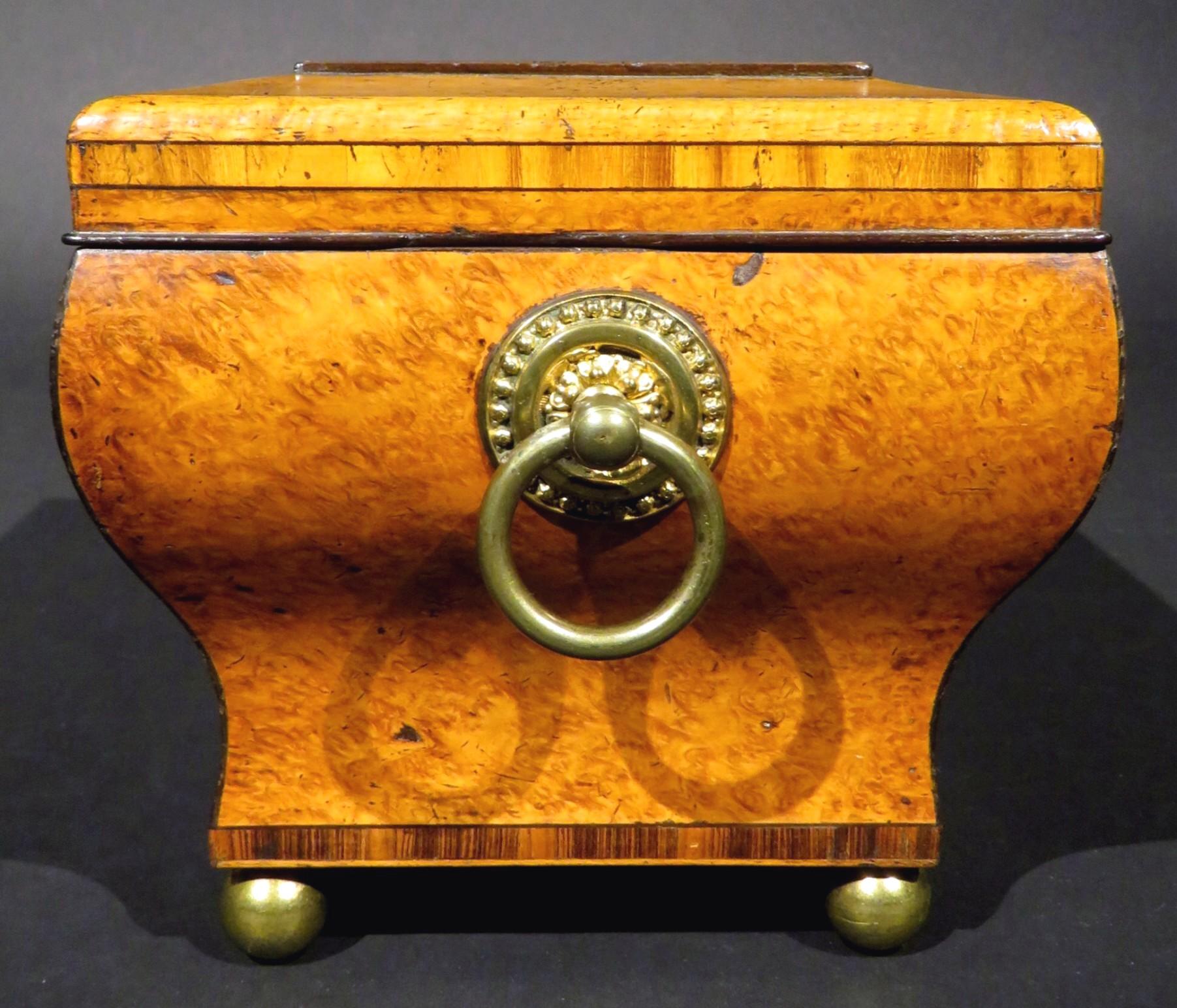 19th Century Very Fine Biedermeier Period Tea Caddy of Bombe Form in Exotic Woods, circa 1830 For Sale