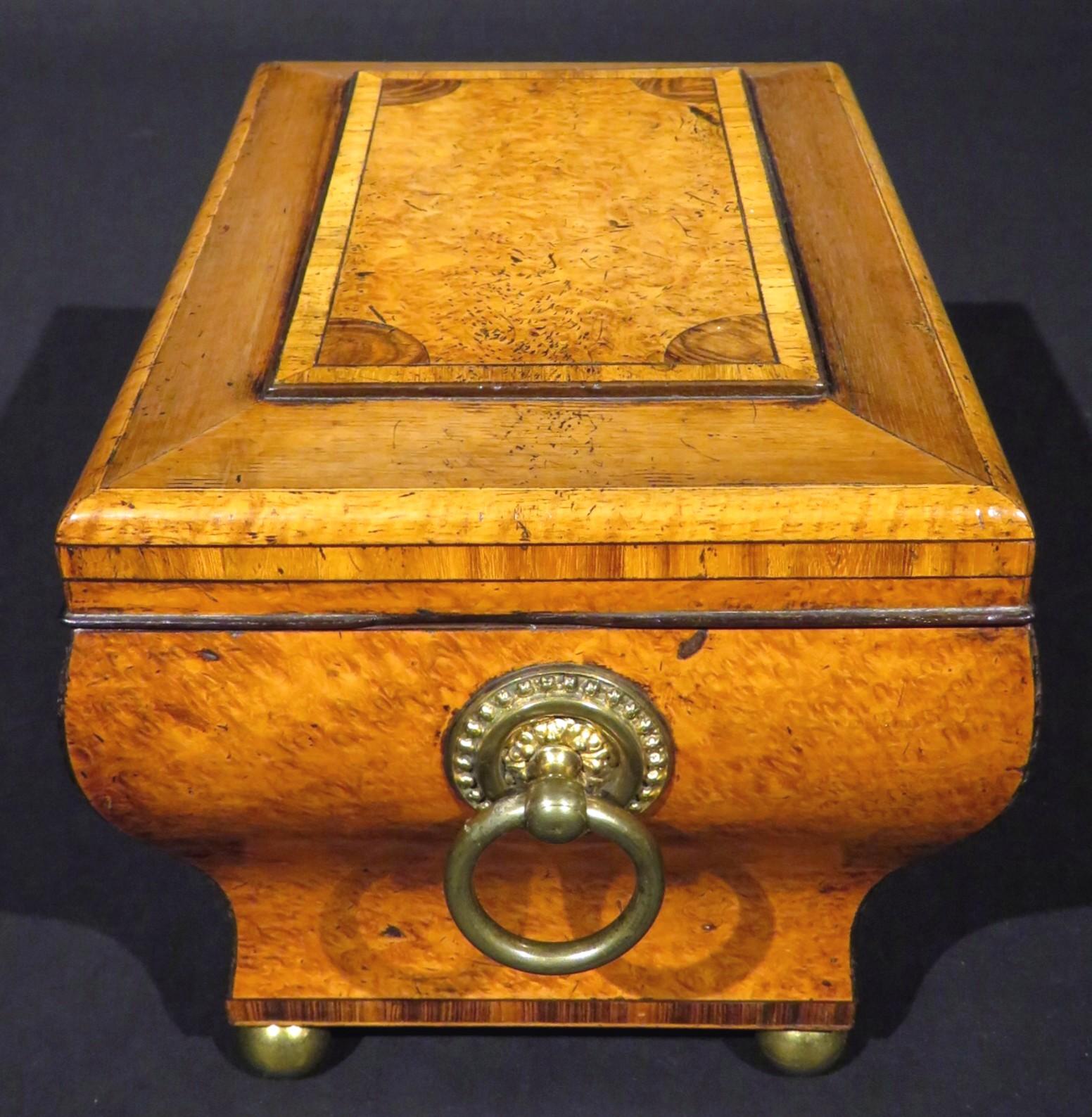 Zebra Wood Very Fine Biedermeier Period Tea Caddy of Bombe Form in Exotic Woods, circa 1830 For Sale