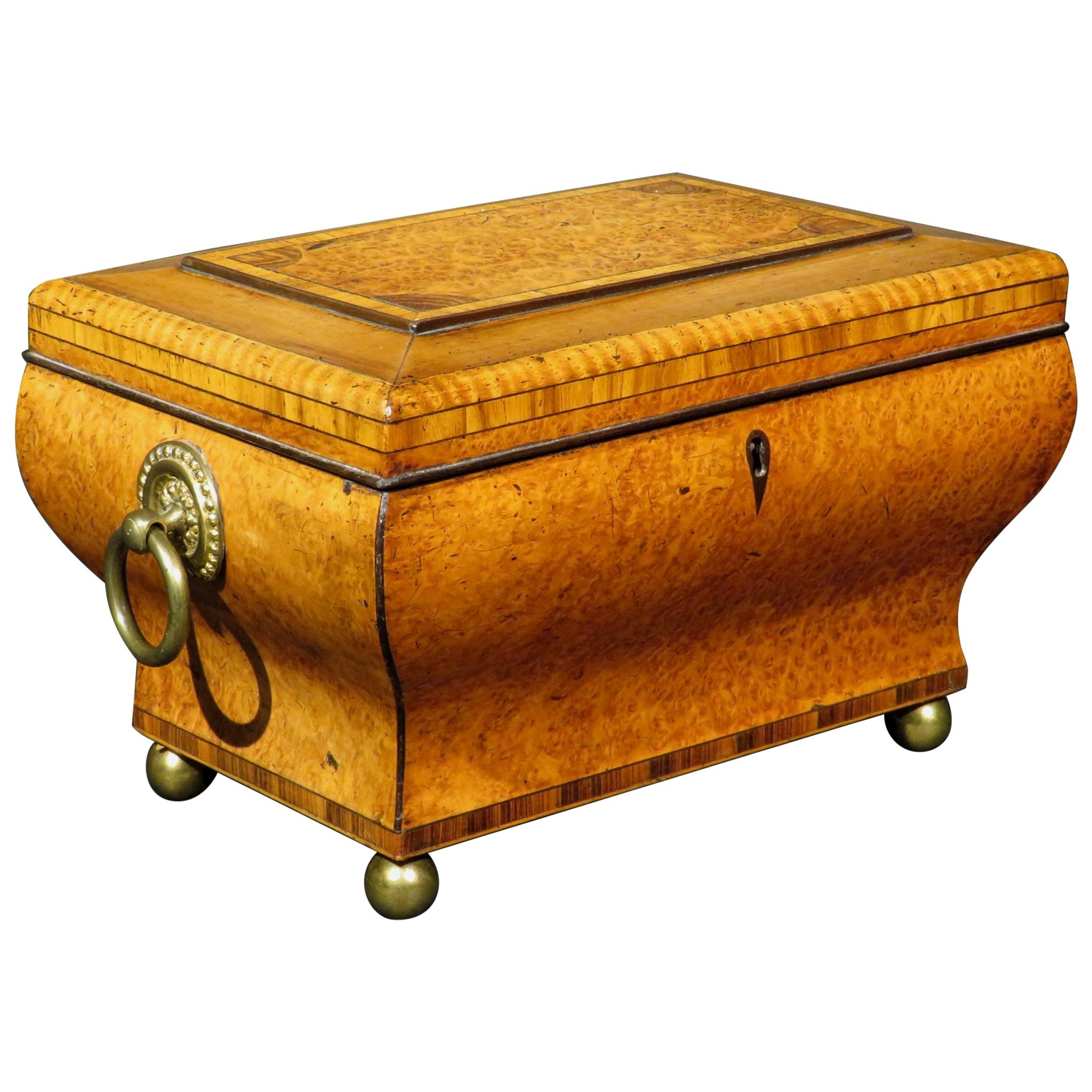 Very Fine Biedermeier Period Tea Caddy of Bombe Form in Exotic Woods, circa 1830 For Sale